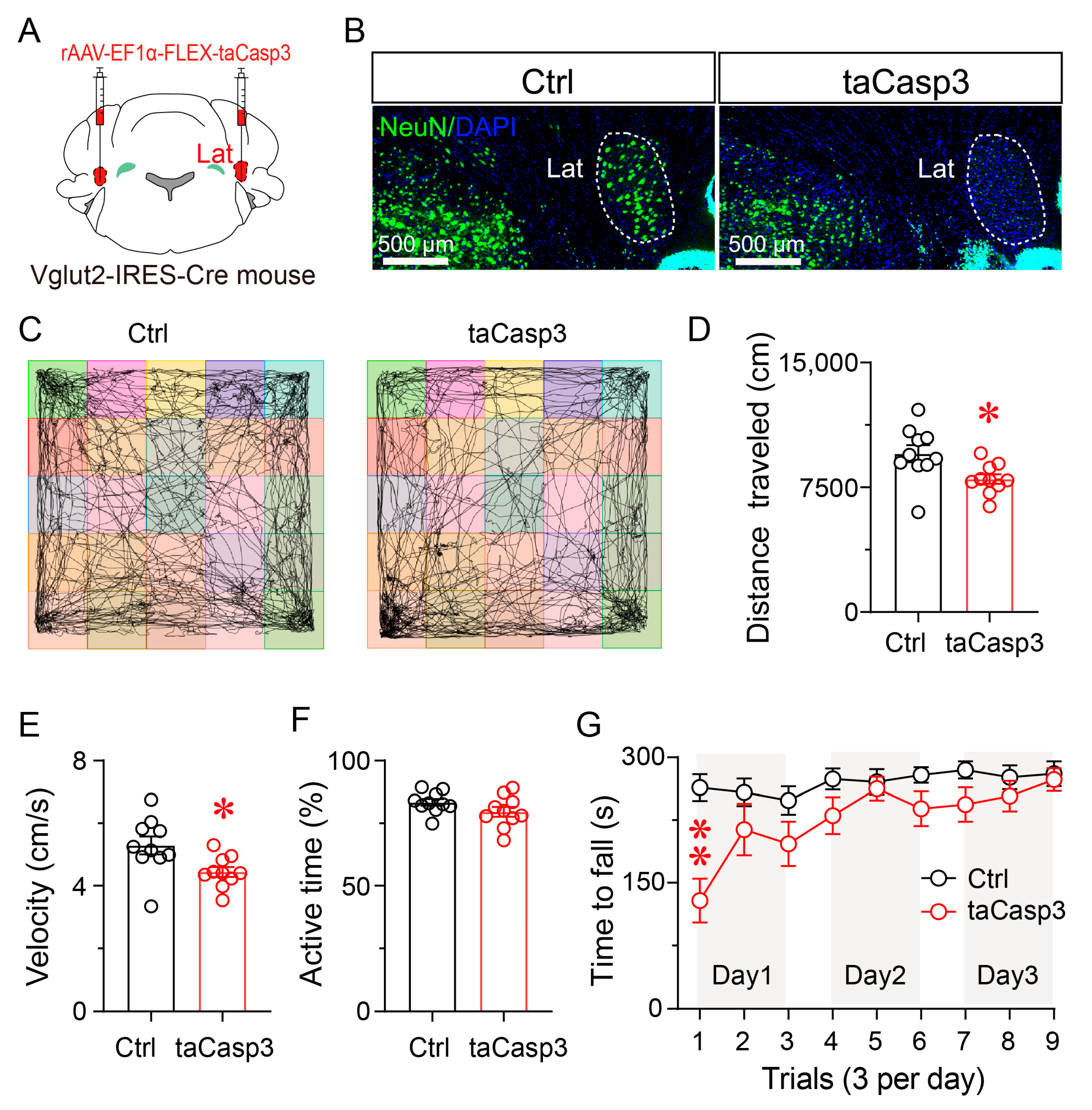 Brainsci 15 01185 g005 Brainsci 15 01185 g005