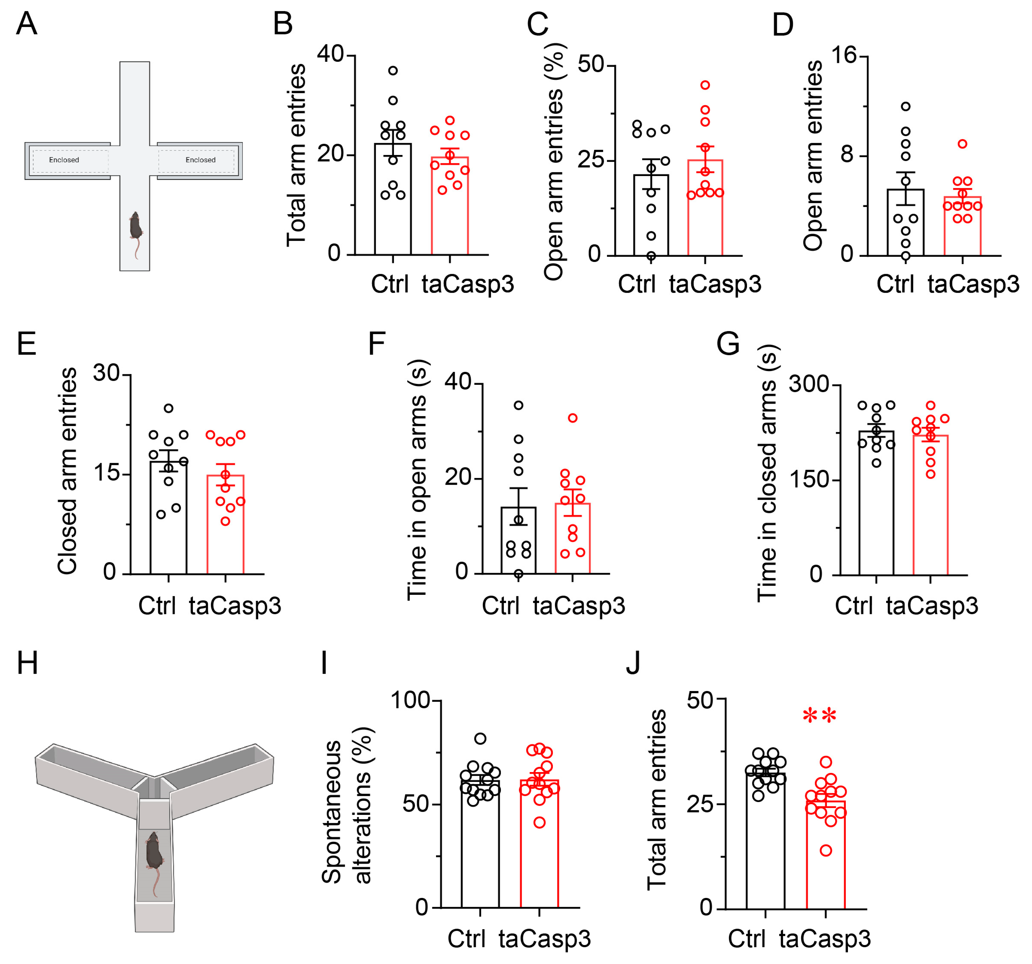 Brainsci 15 01185 g006 Brainsci 15 01185 g006