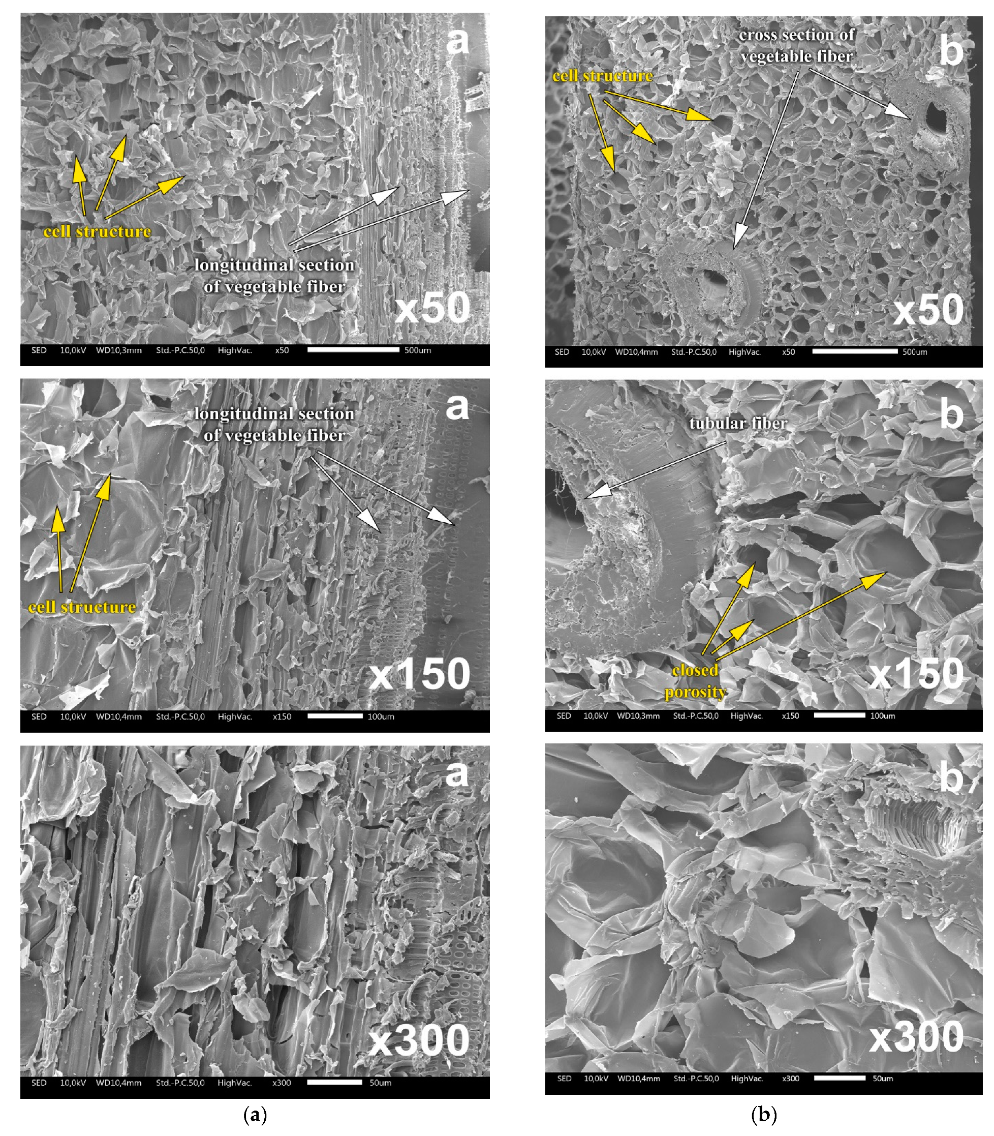 Buildings 11 00292 g007