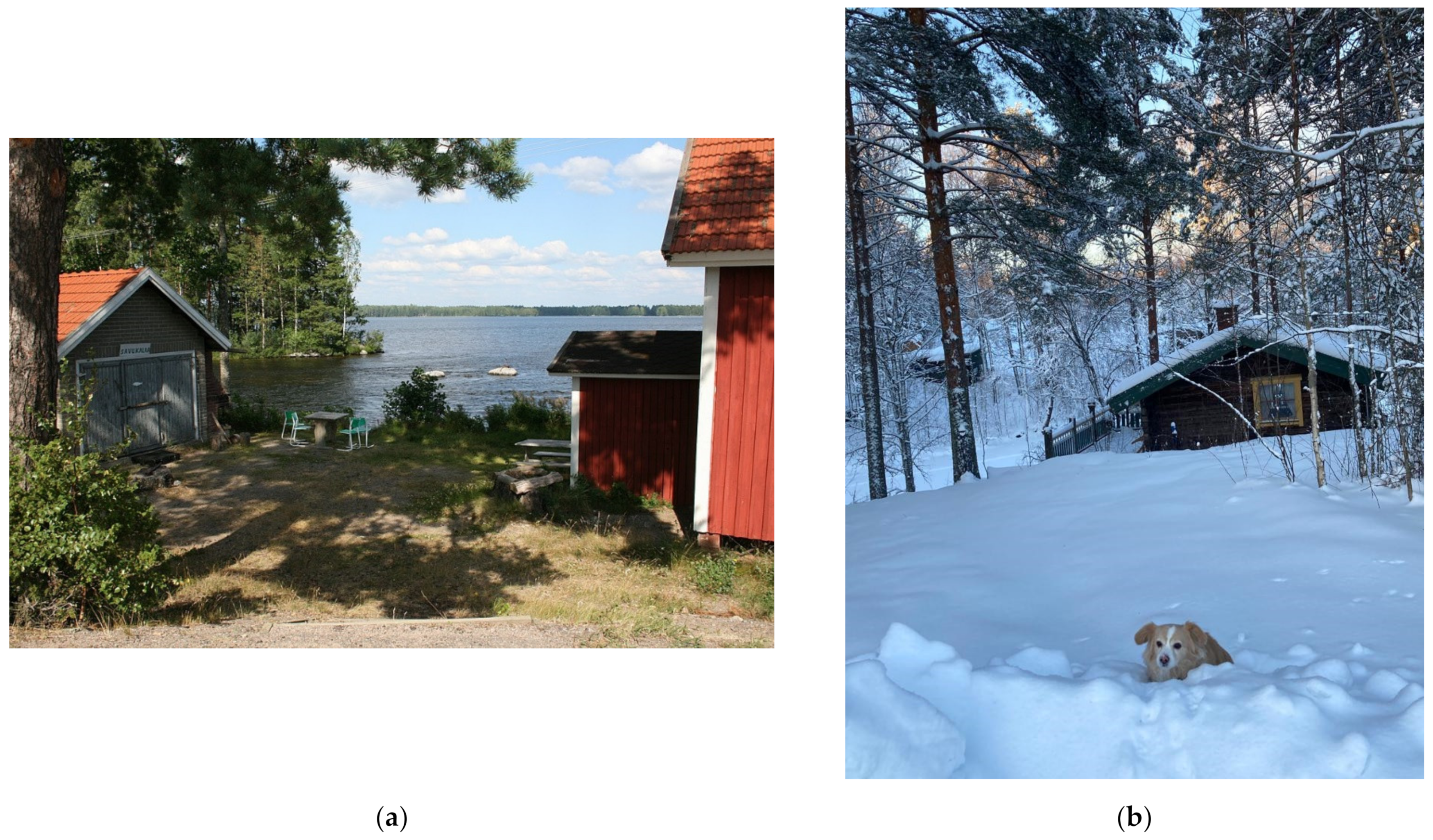 Buildings Free Full Text The Current State Of The Finnish Cottage Phenomenon Perspectives Of Experts Html