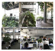 Buildings 12 00417 i002