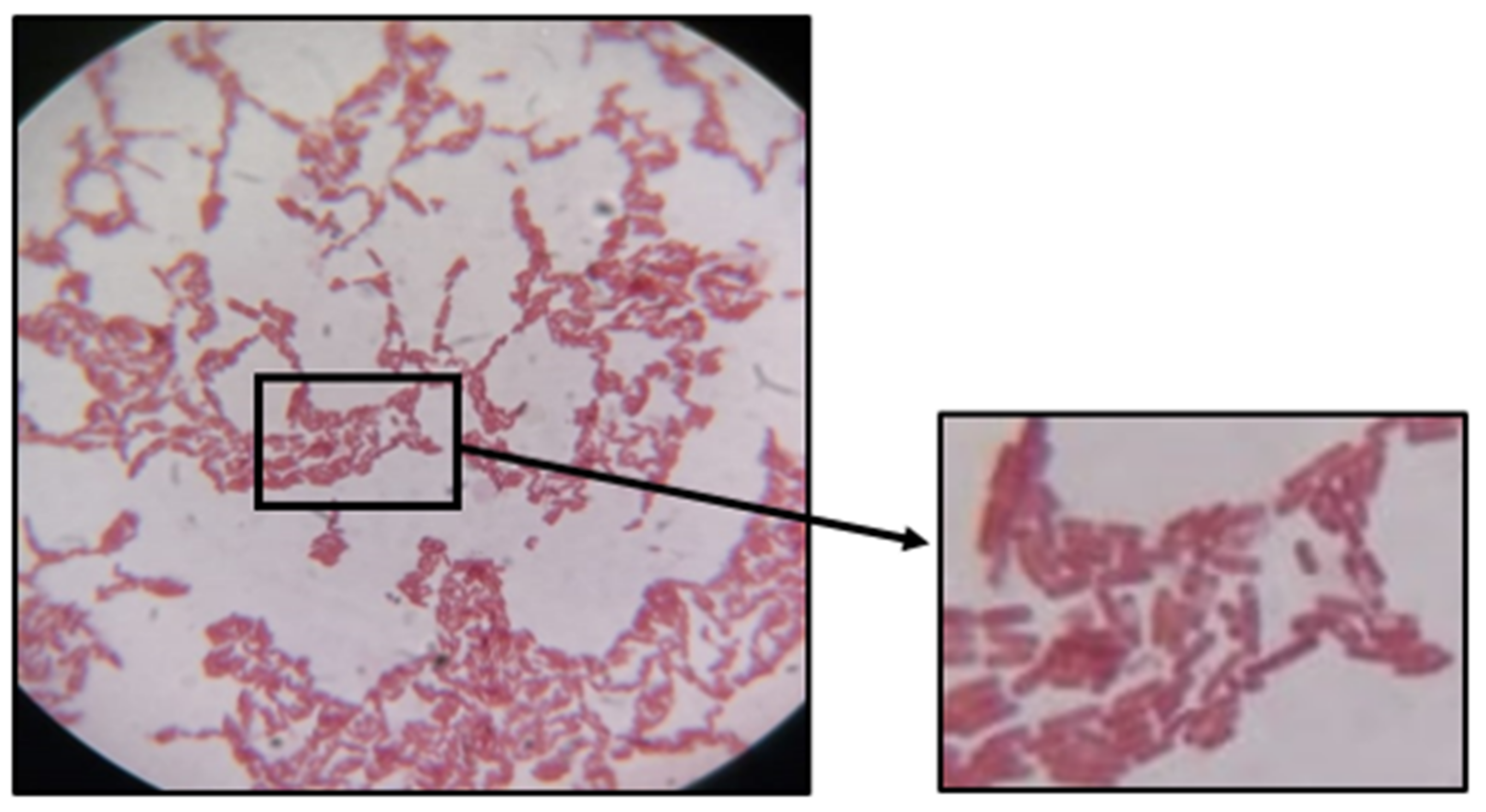 Buildings 12 00993 g002