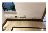 Buildings 12 01304 i007