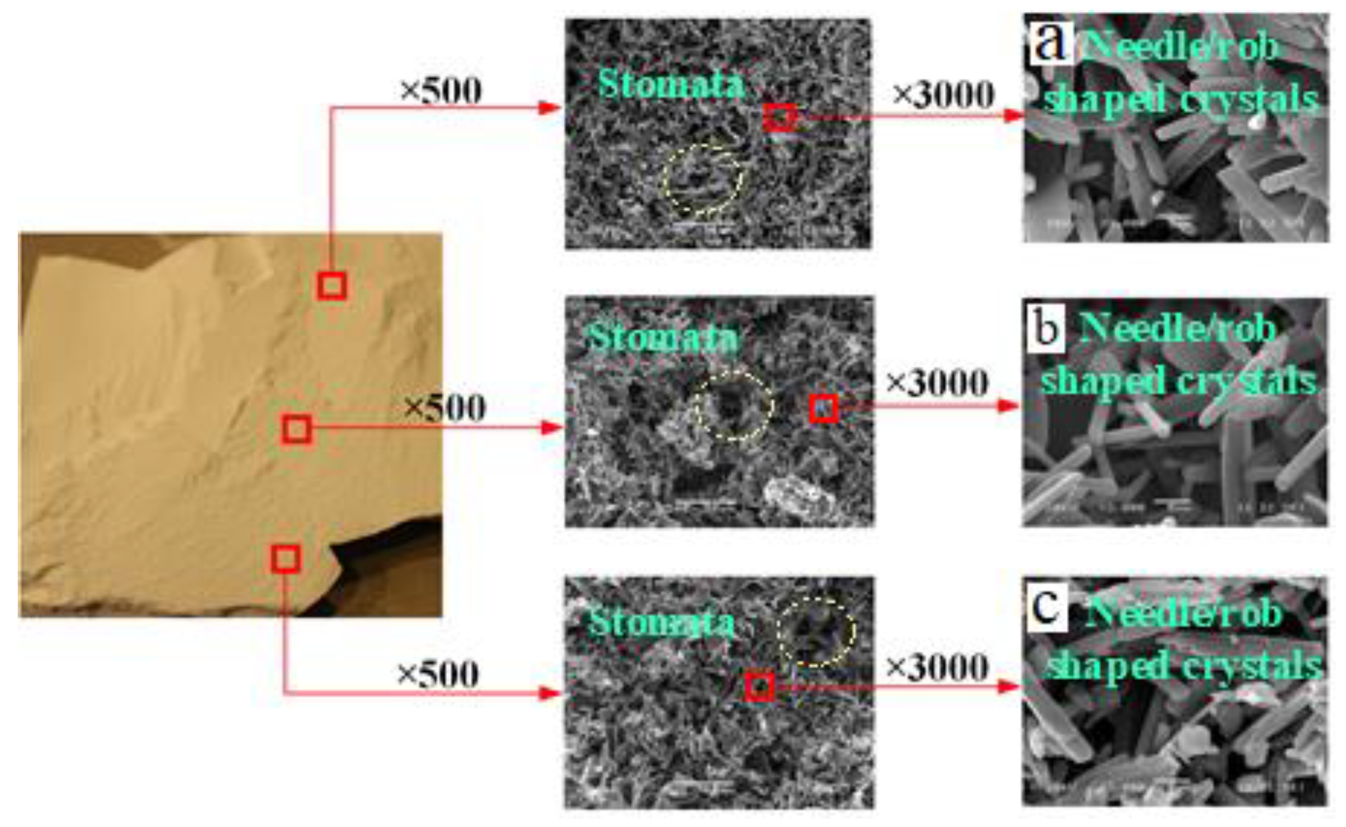 Buildings 12 01927 g005