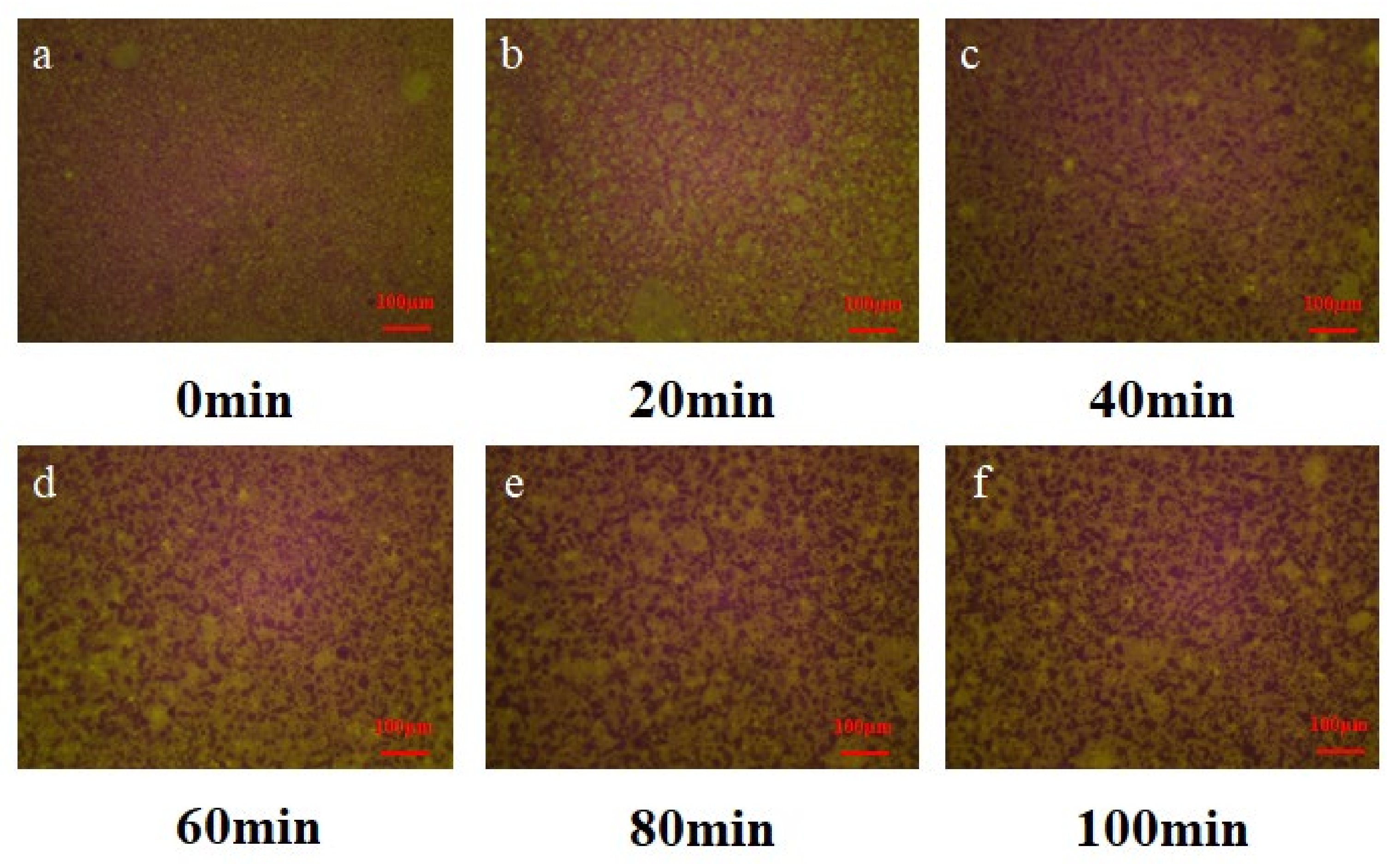 Buildings 12 02133 g010 Buildings 12 02133 g010
