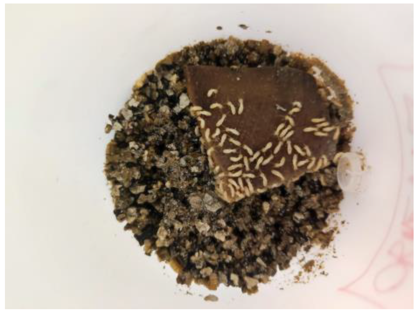 Buildings 12 02193 g007