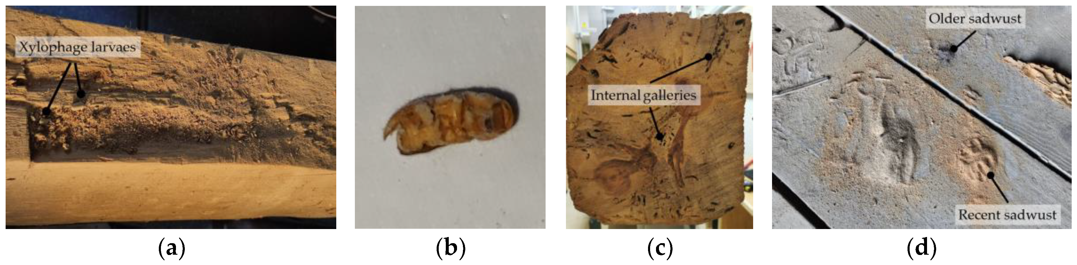 Buildings 12 02193 g017