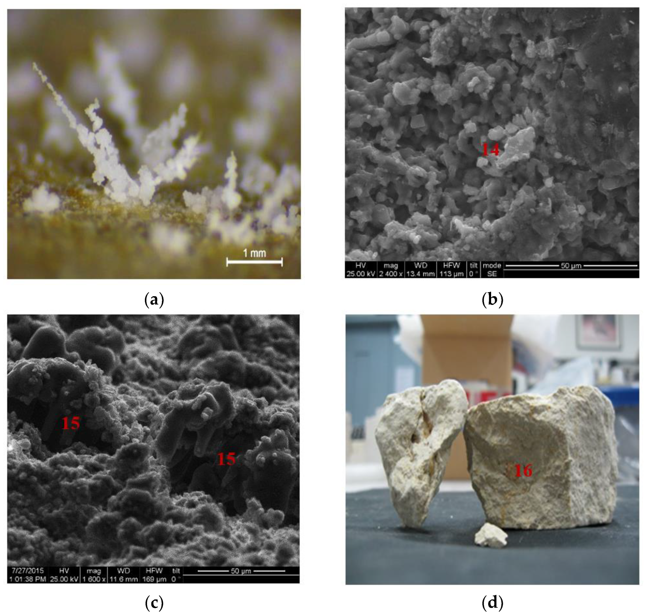 Buildings 13 00198 g010