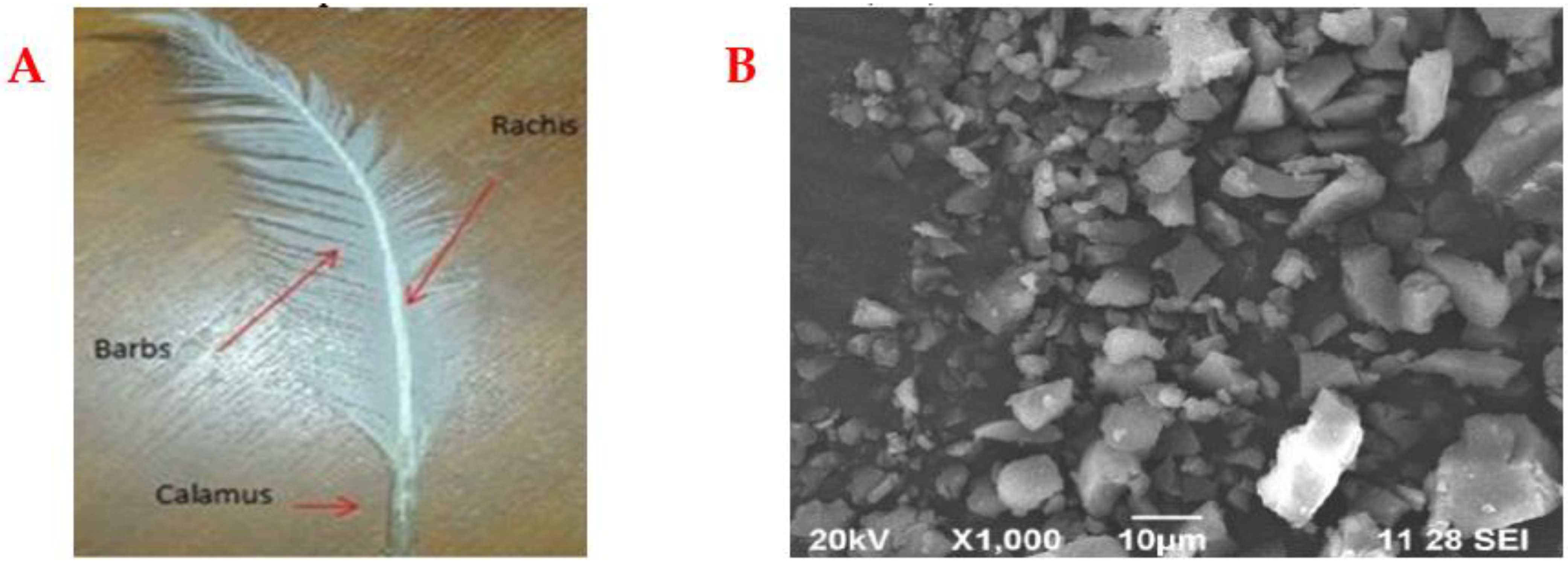 Buildings 13 00421 g003