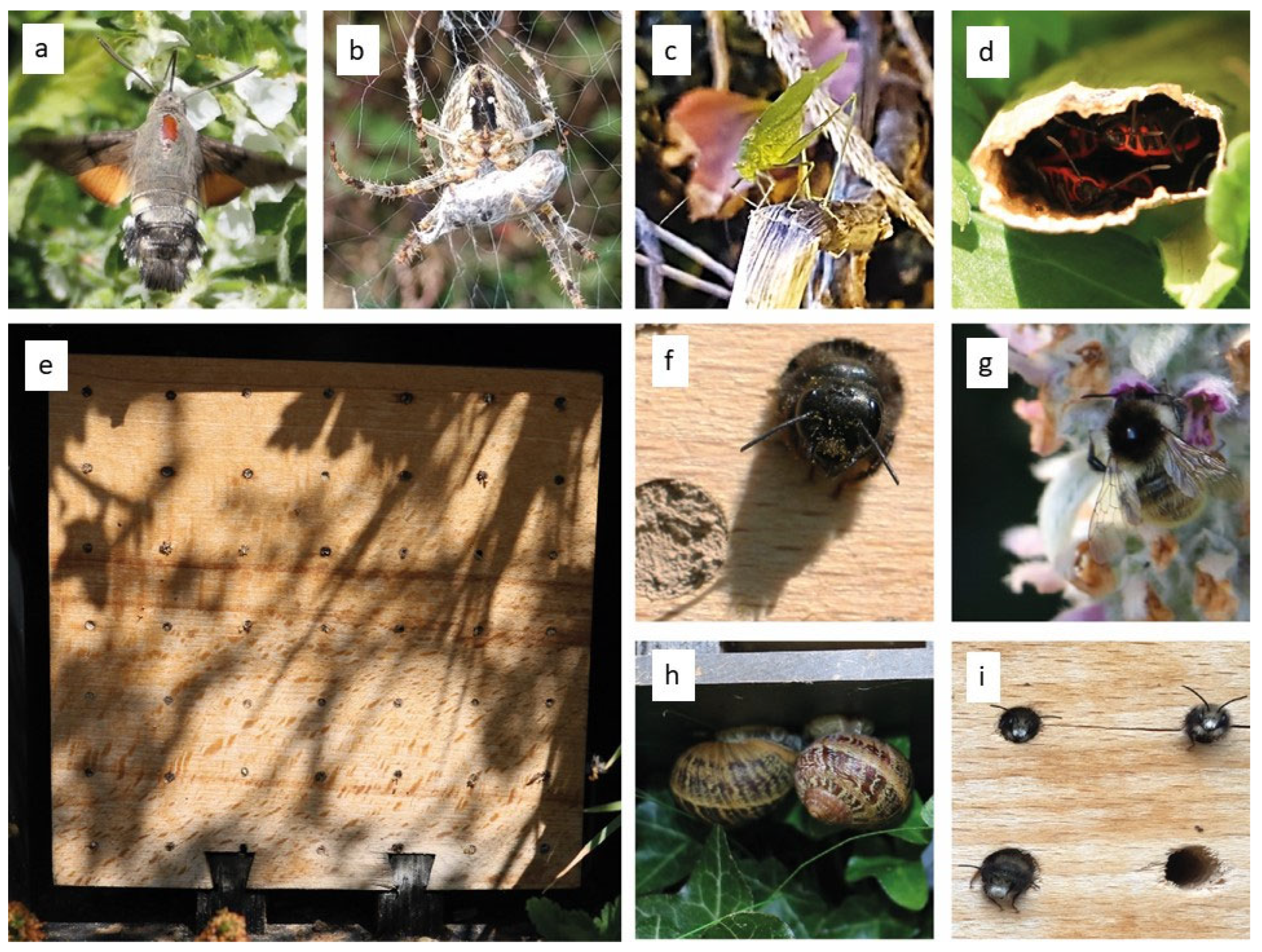 Buildings 13 01393 g012