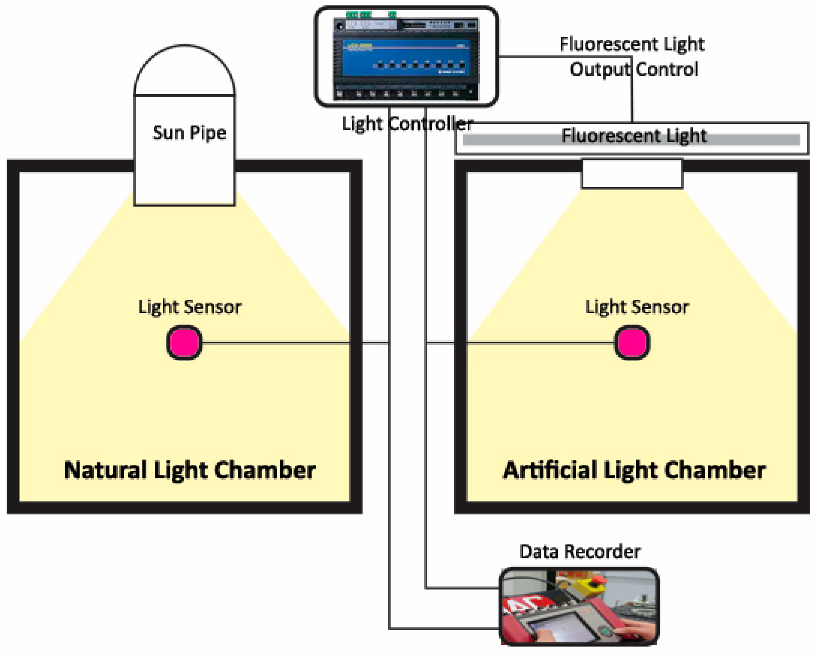 Artificial light online for photosynthesis