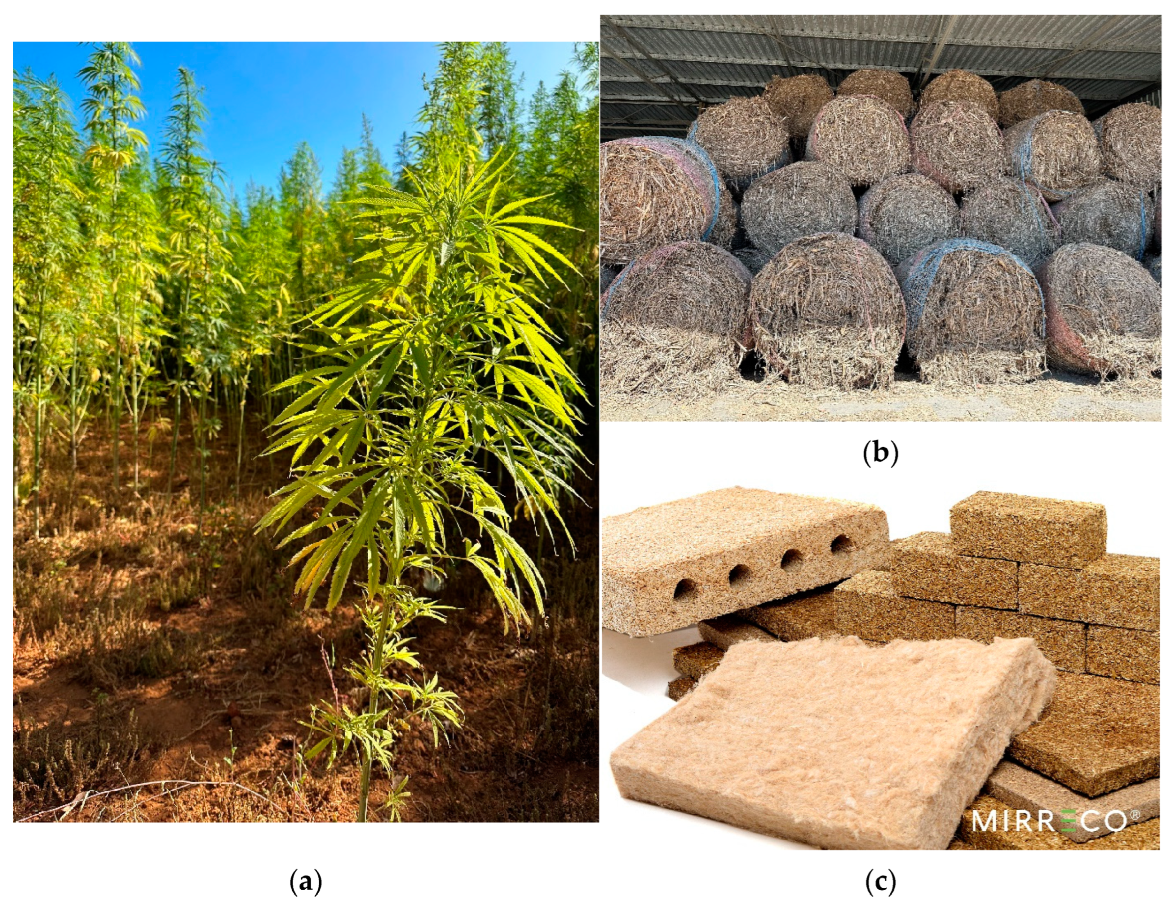 Buildings 13 01504 g003 Buildings 13 01504 g003