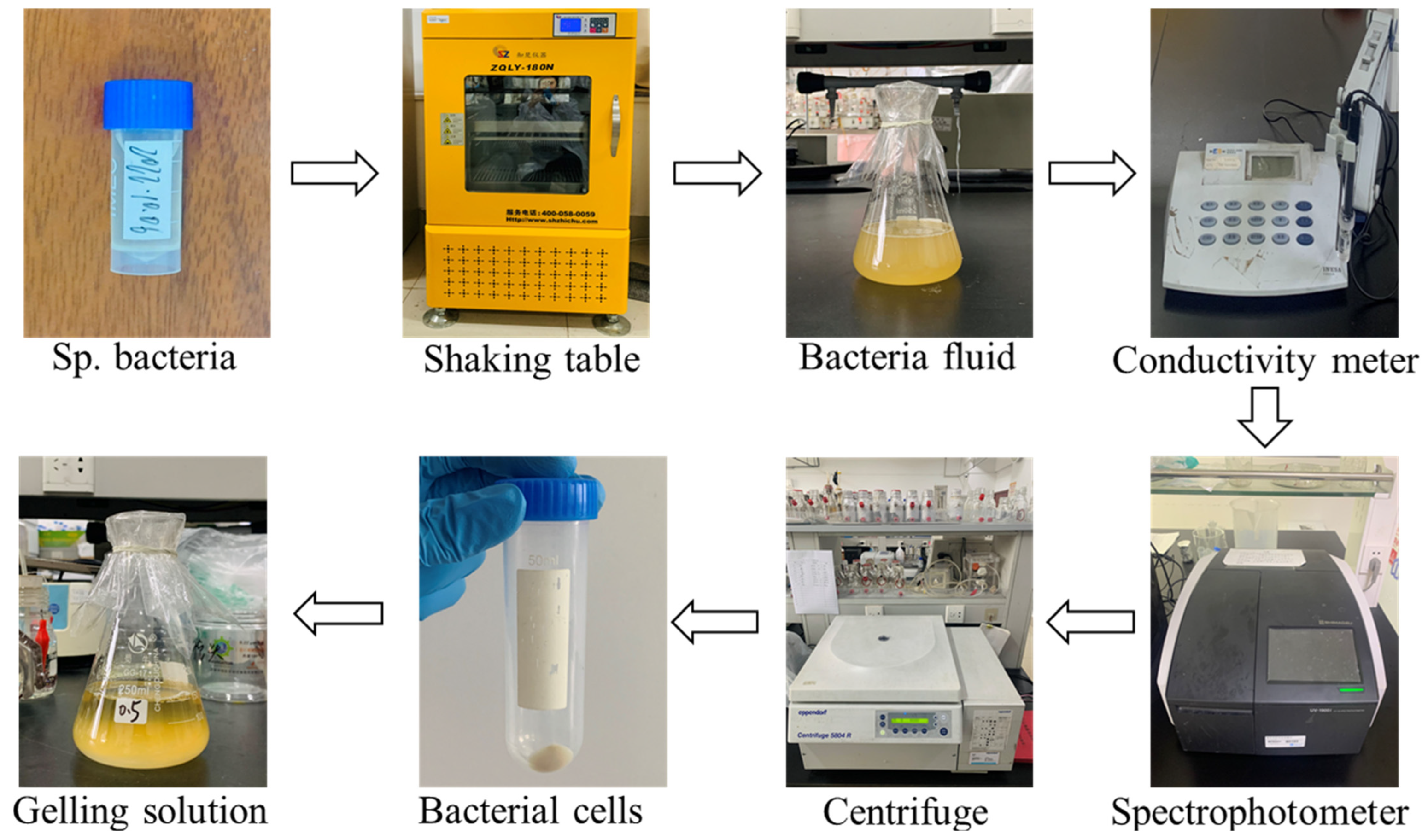 Buildings 13 01974 g002