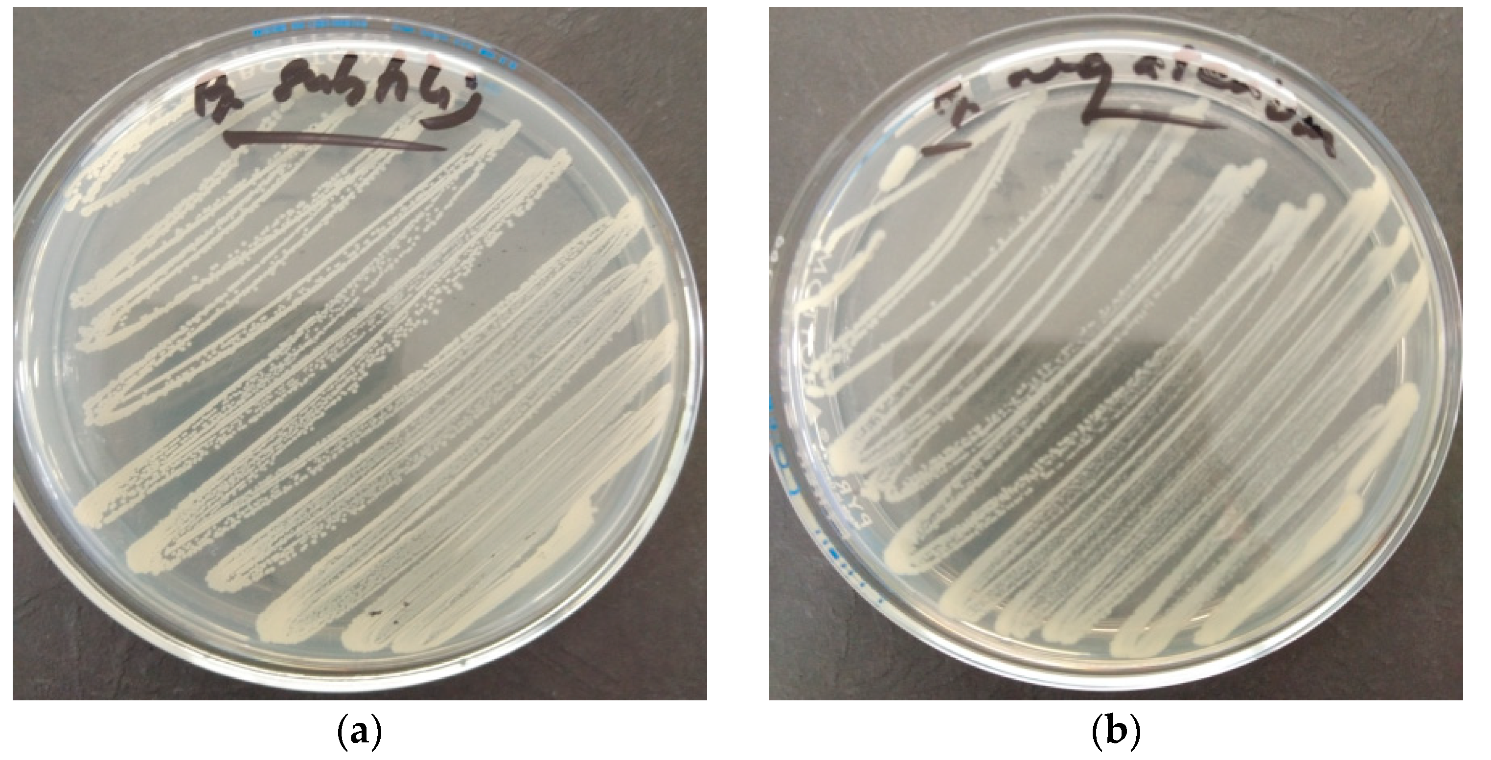 Buildings 13 02668 g005 Buildings 13 02668 g005