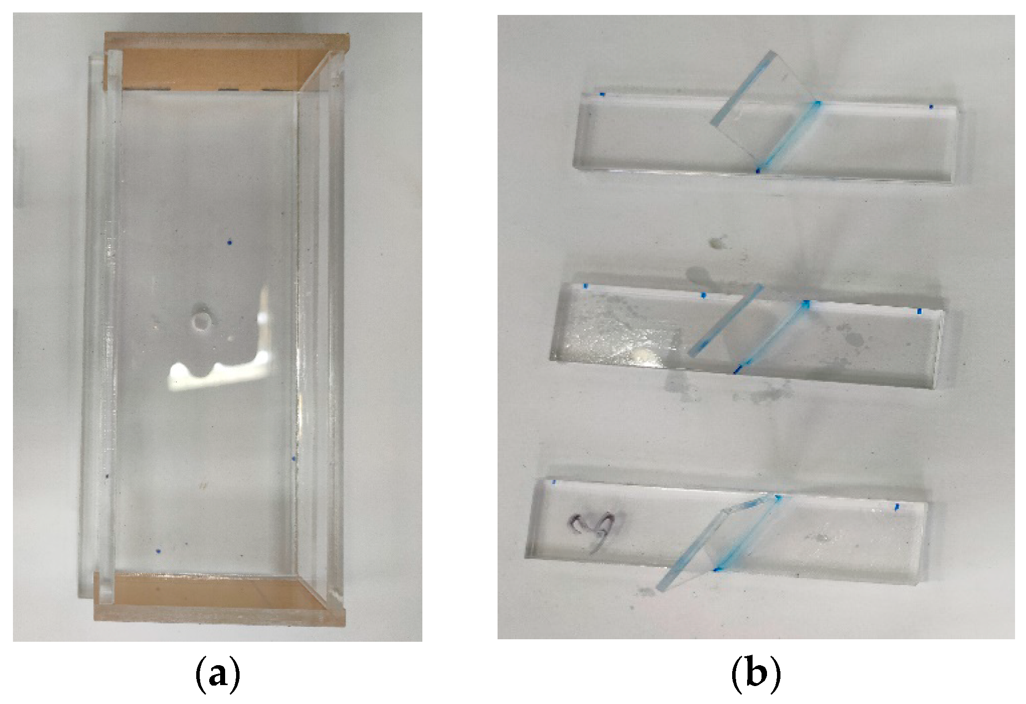 Buildings | Free Full-Text | Damage Behavior Study of Specimens 