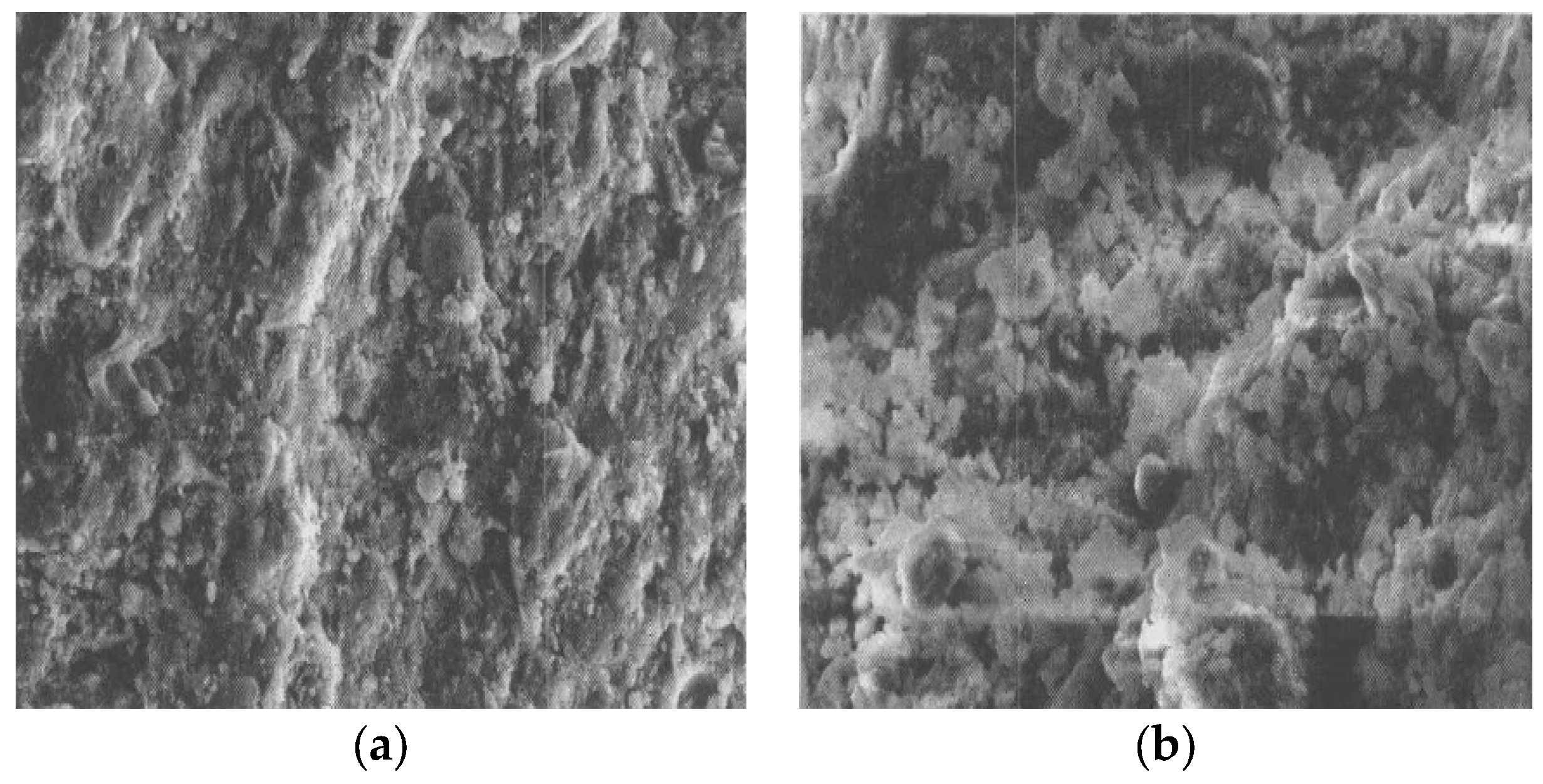 Buildings 14 00289 g010