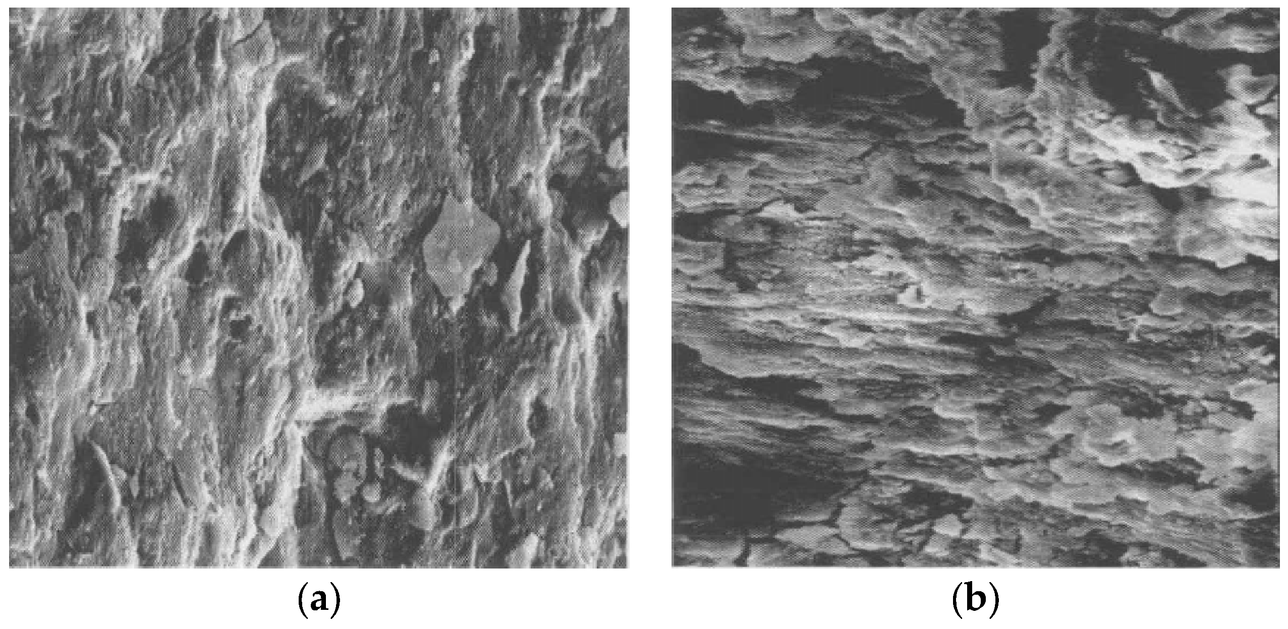 Buildings 14 00289 g011