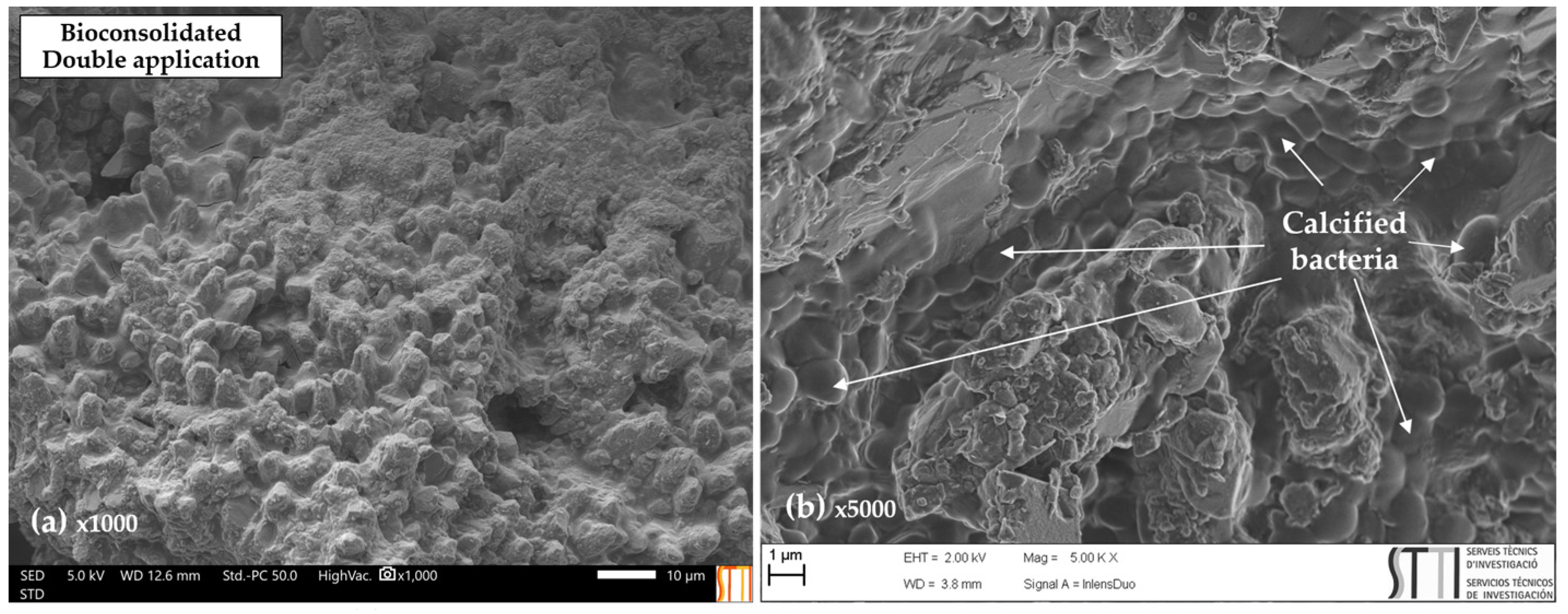 Buildings 14 00940 g009