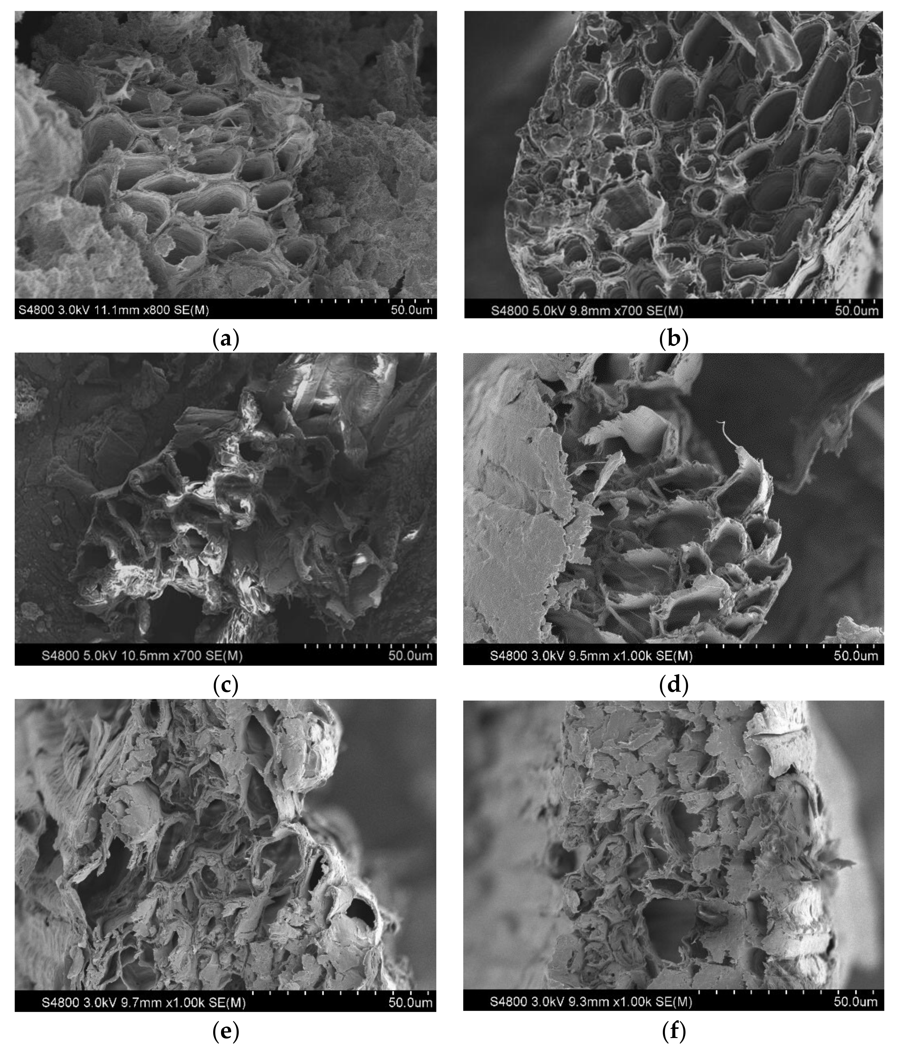 Buildings 14 01352 g003