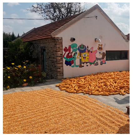 Buildings 14 01538 i003