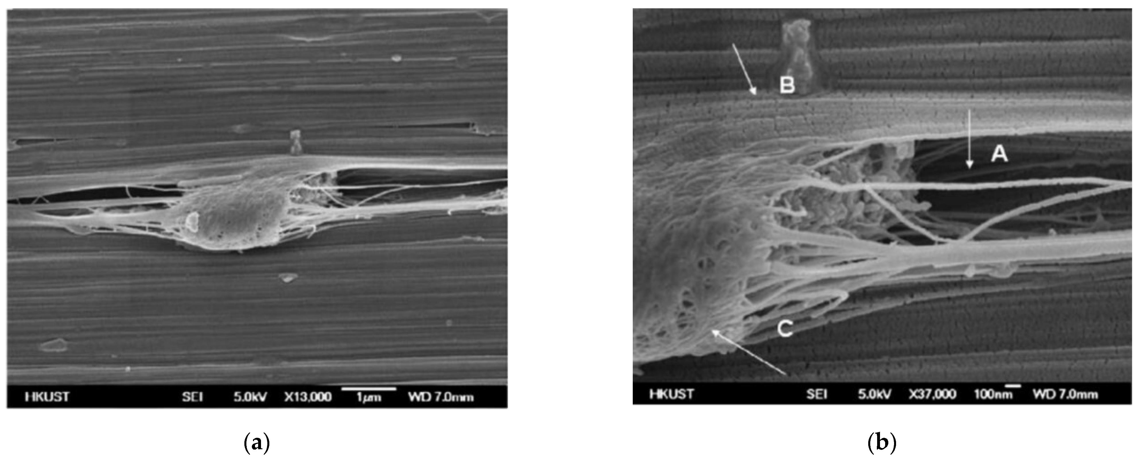 Buildings 14 01631 g004