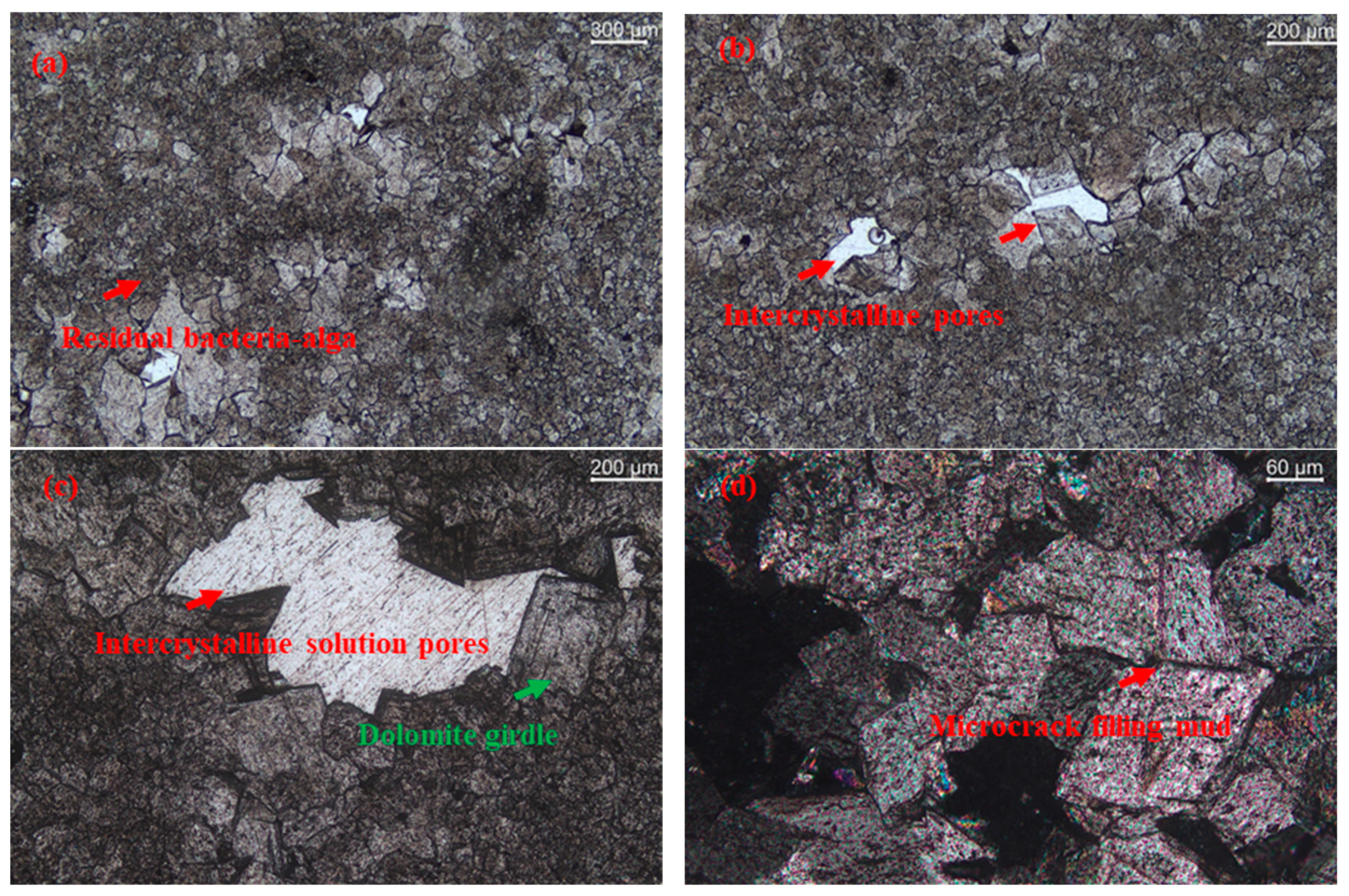 Buildings 14 01664 g006