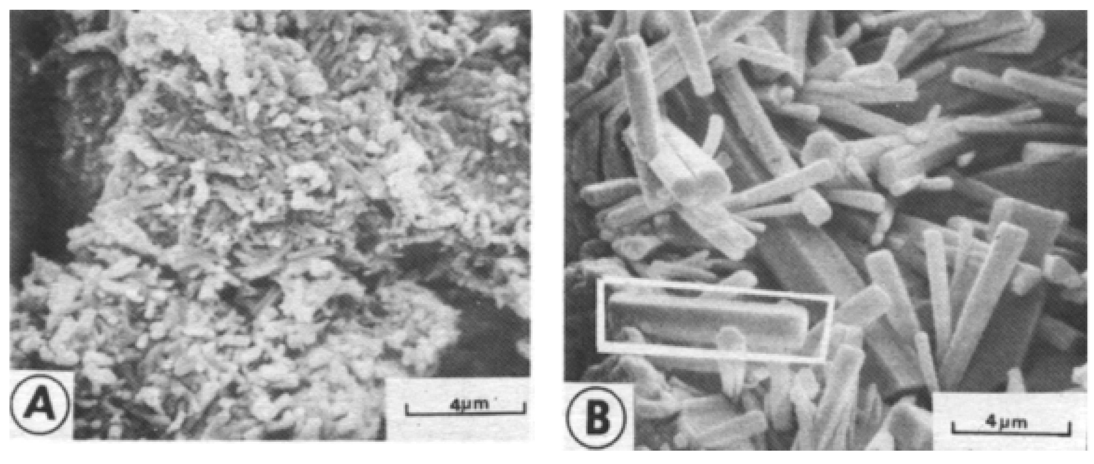 Buildings 14 02369 g002