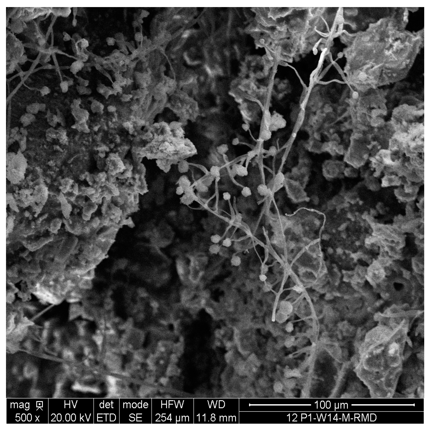 Buildings 14 02586 g015