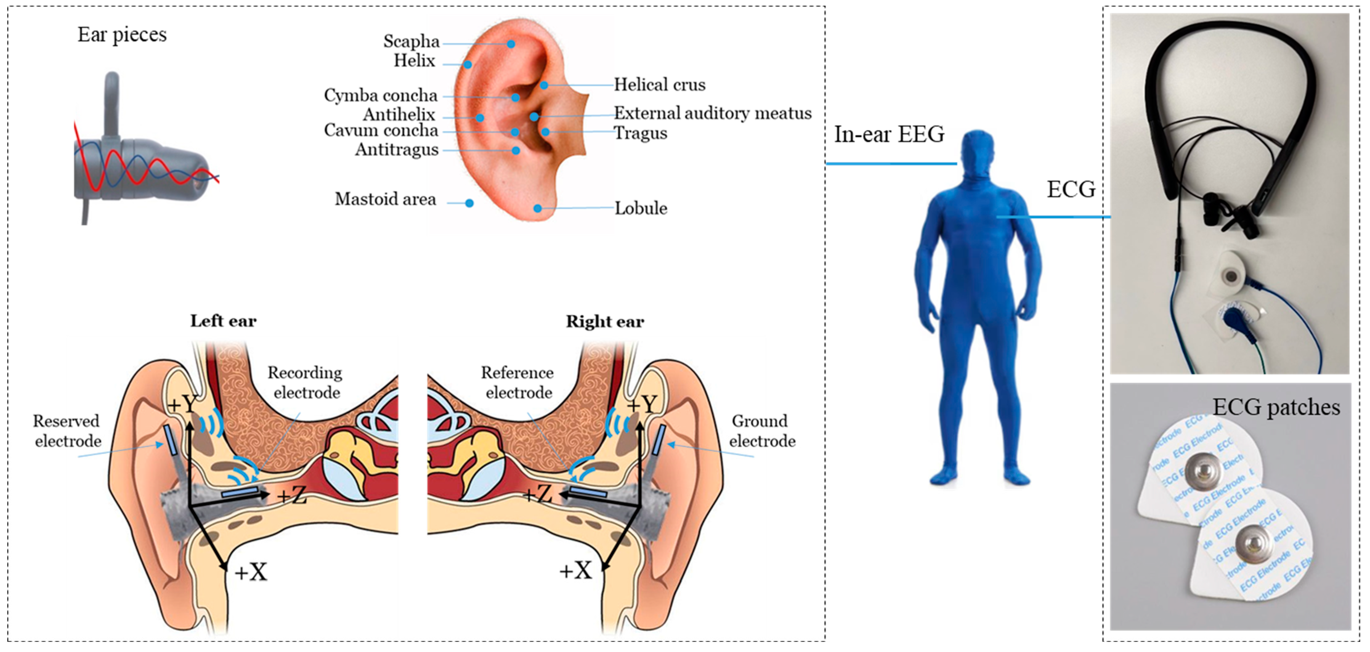 Buildings 14 02793 g002