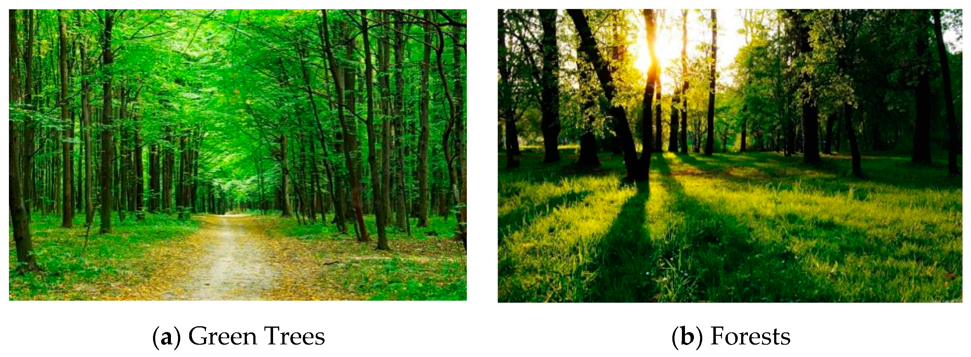 Buildings 14 03122 g003