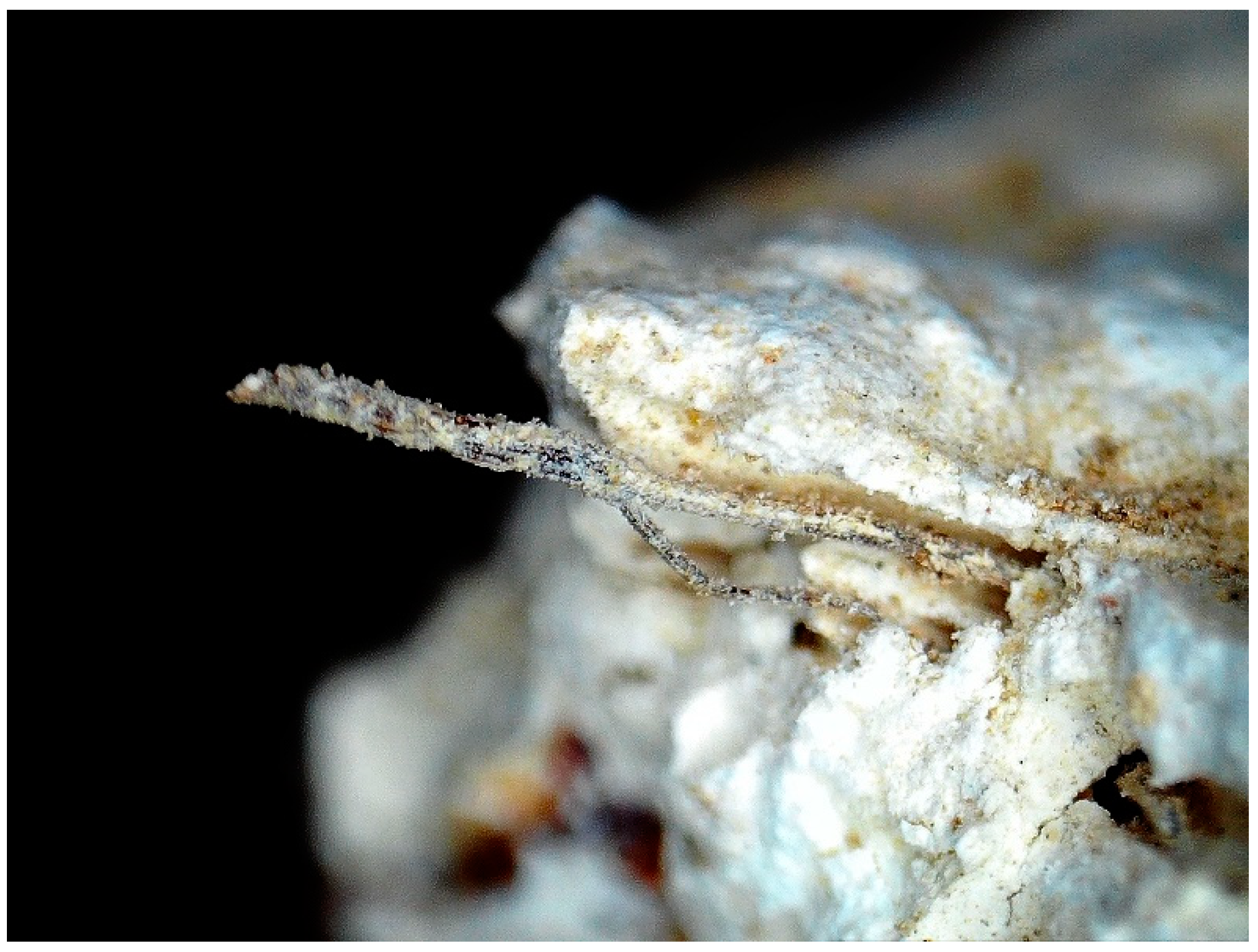 Buildings 14 03178 g008 Buildings 14 03178 g008