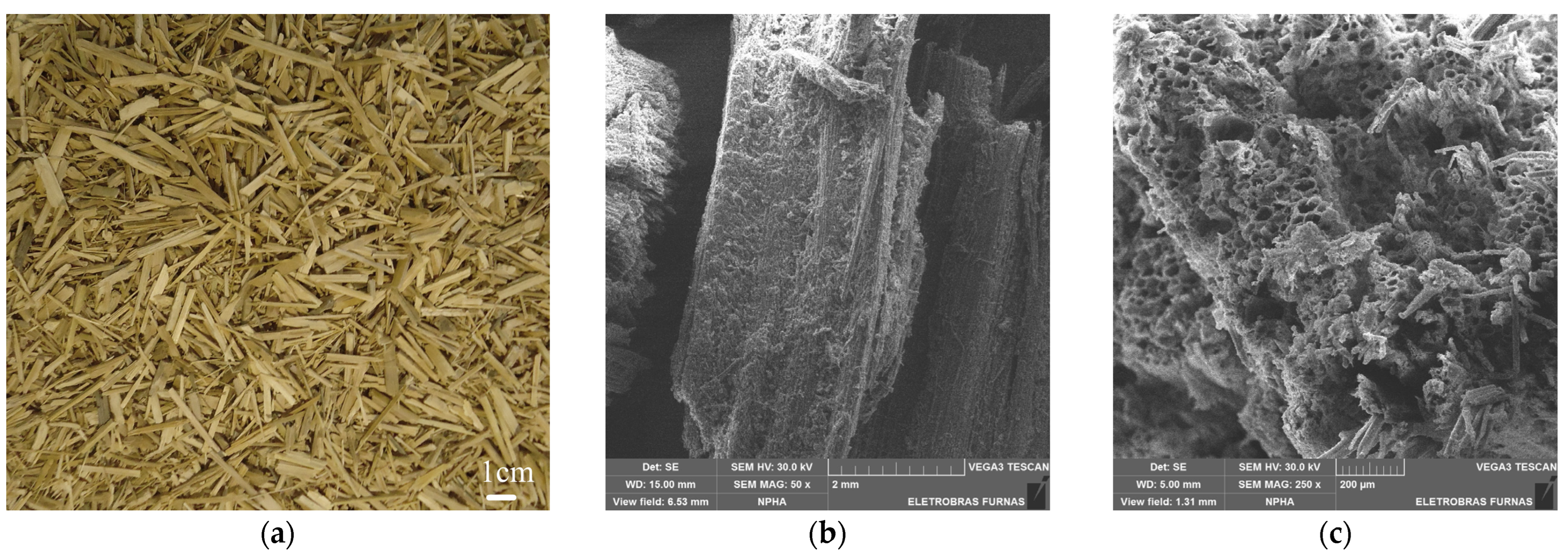 Buildings 14 03629 g001