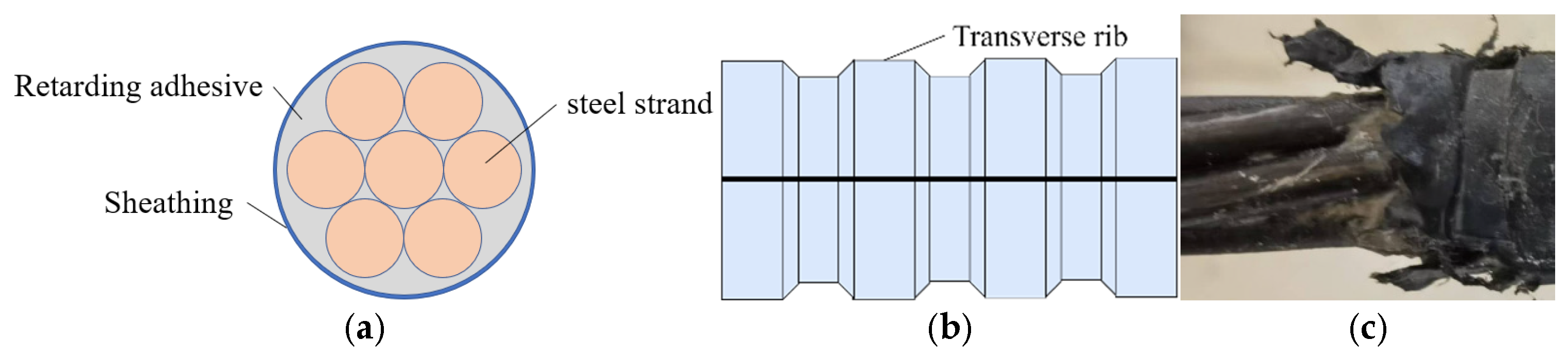 Buildings 15 00887 g001