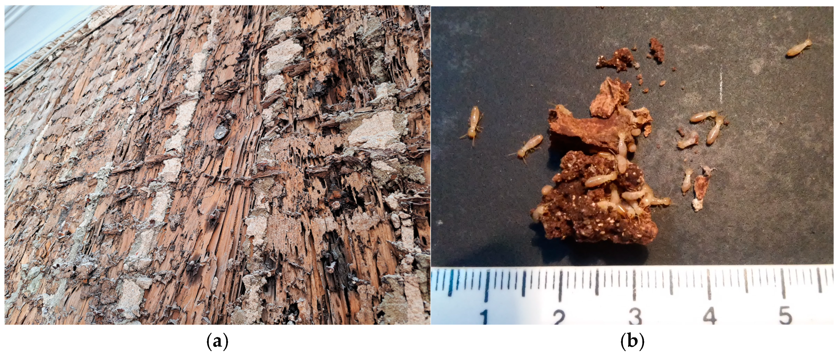 Buildings 15 01161 g007