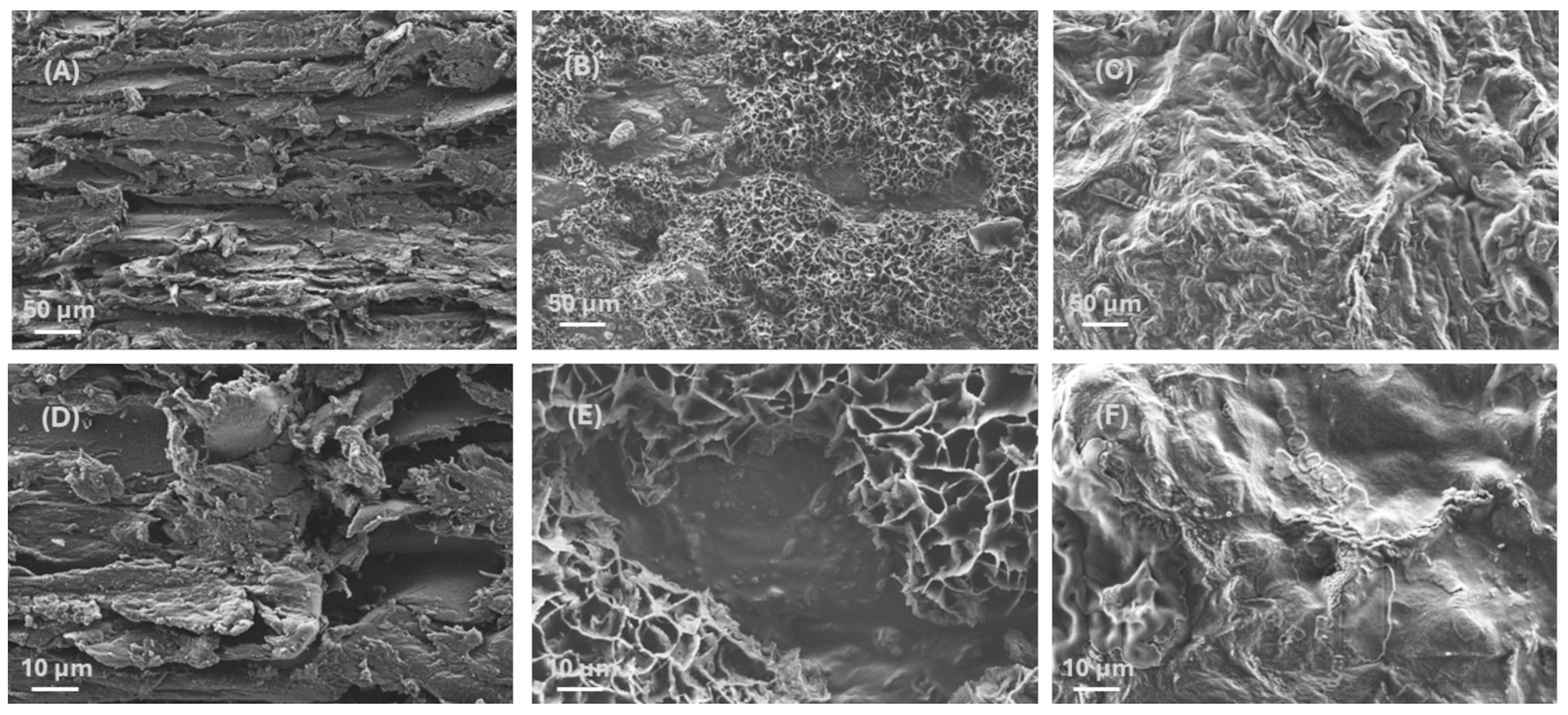 Buildings 15 01320 g005