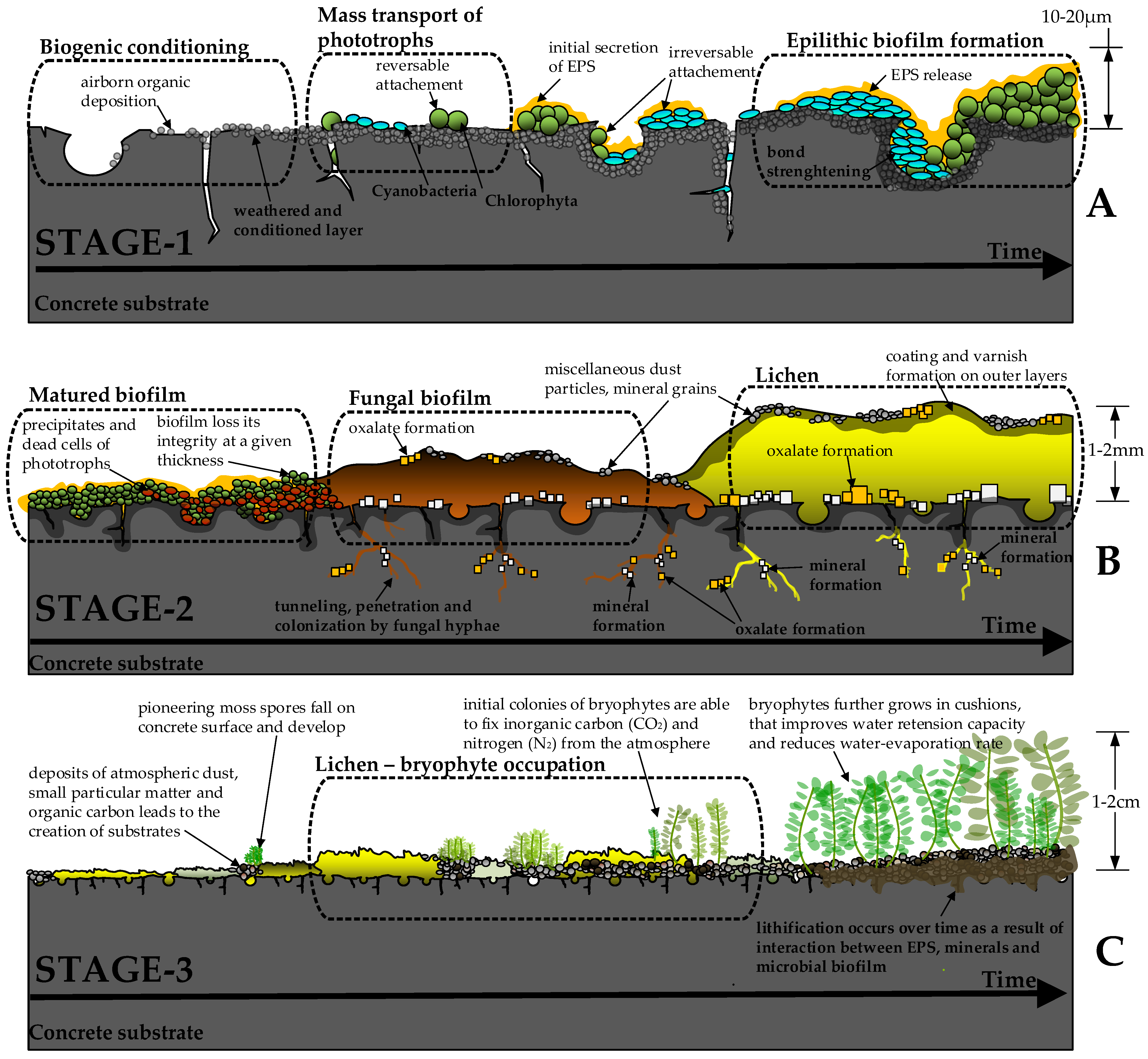 Buildings 15 03646 g002 Buildings 15 03646 g002
