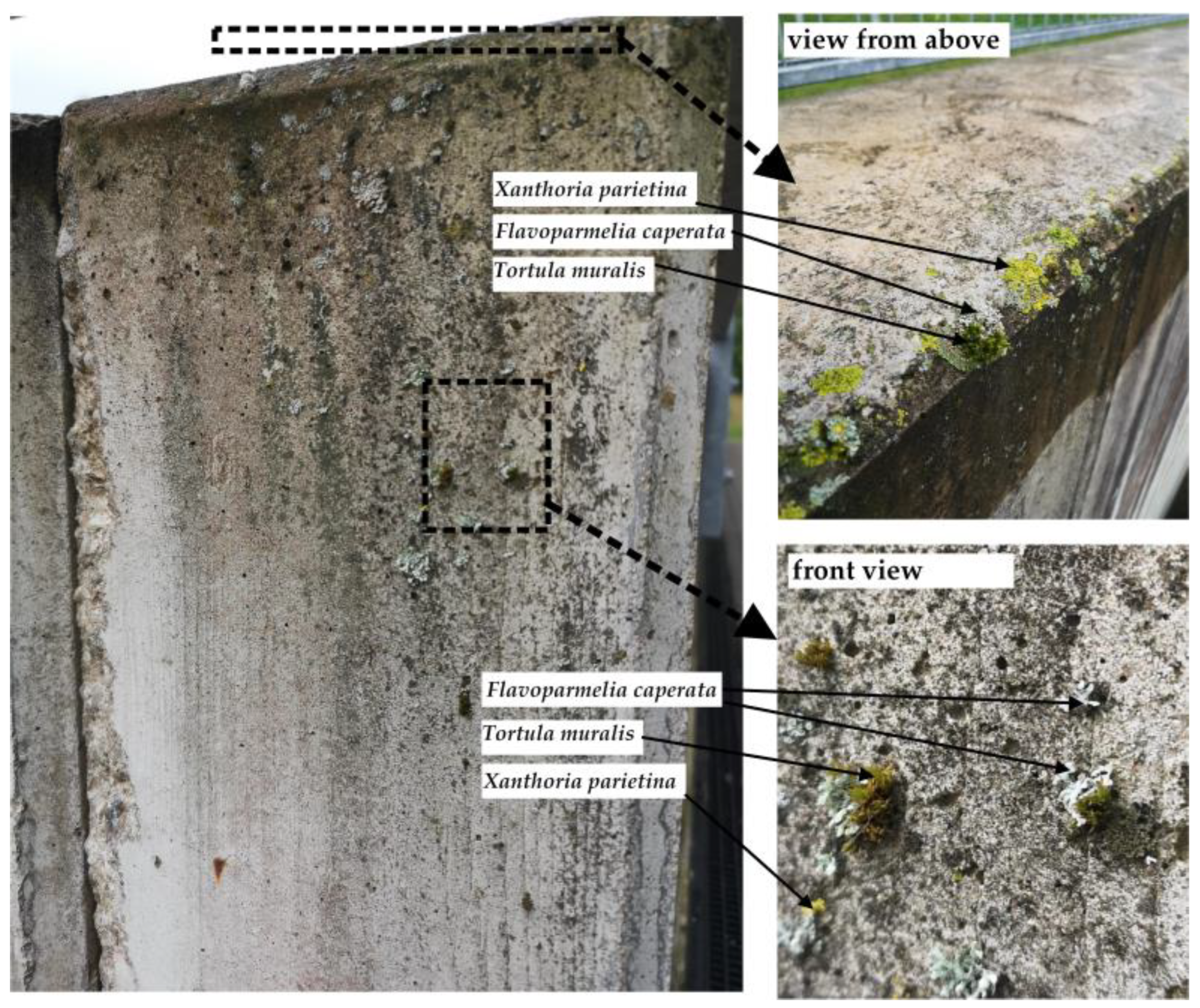 Buildings 15 03646 g006 Buildings 15 03646 g006