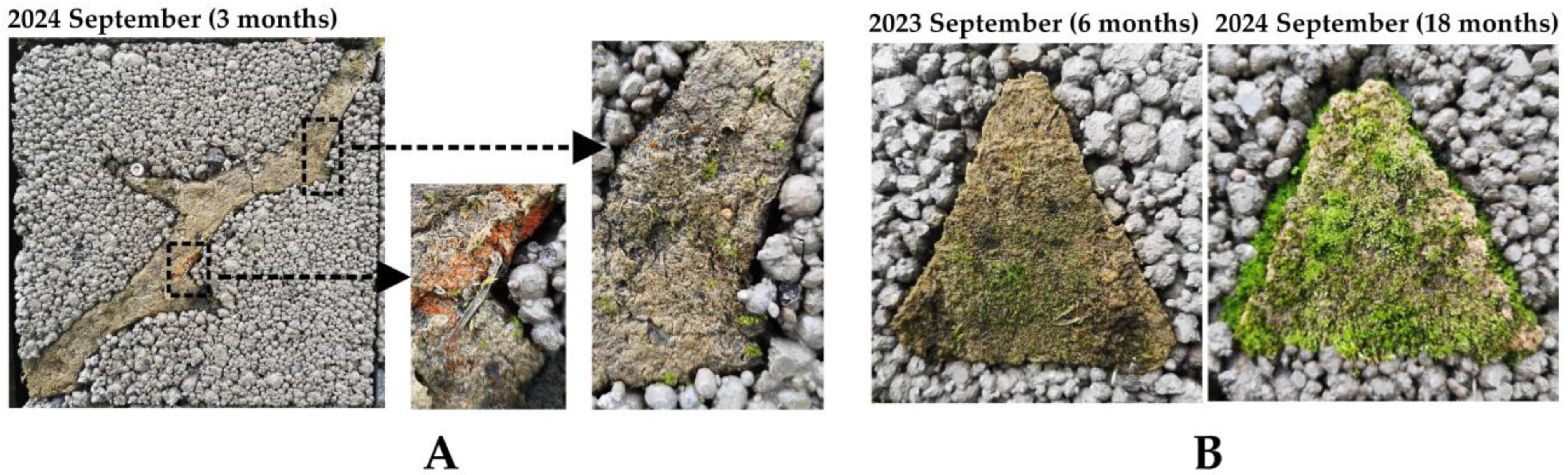 Buildings 15 03646 g008 Buildings 15 03646 g008