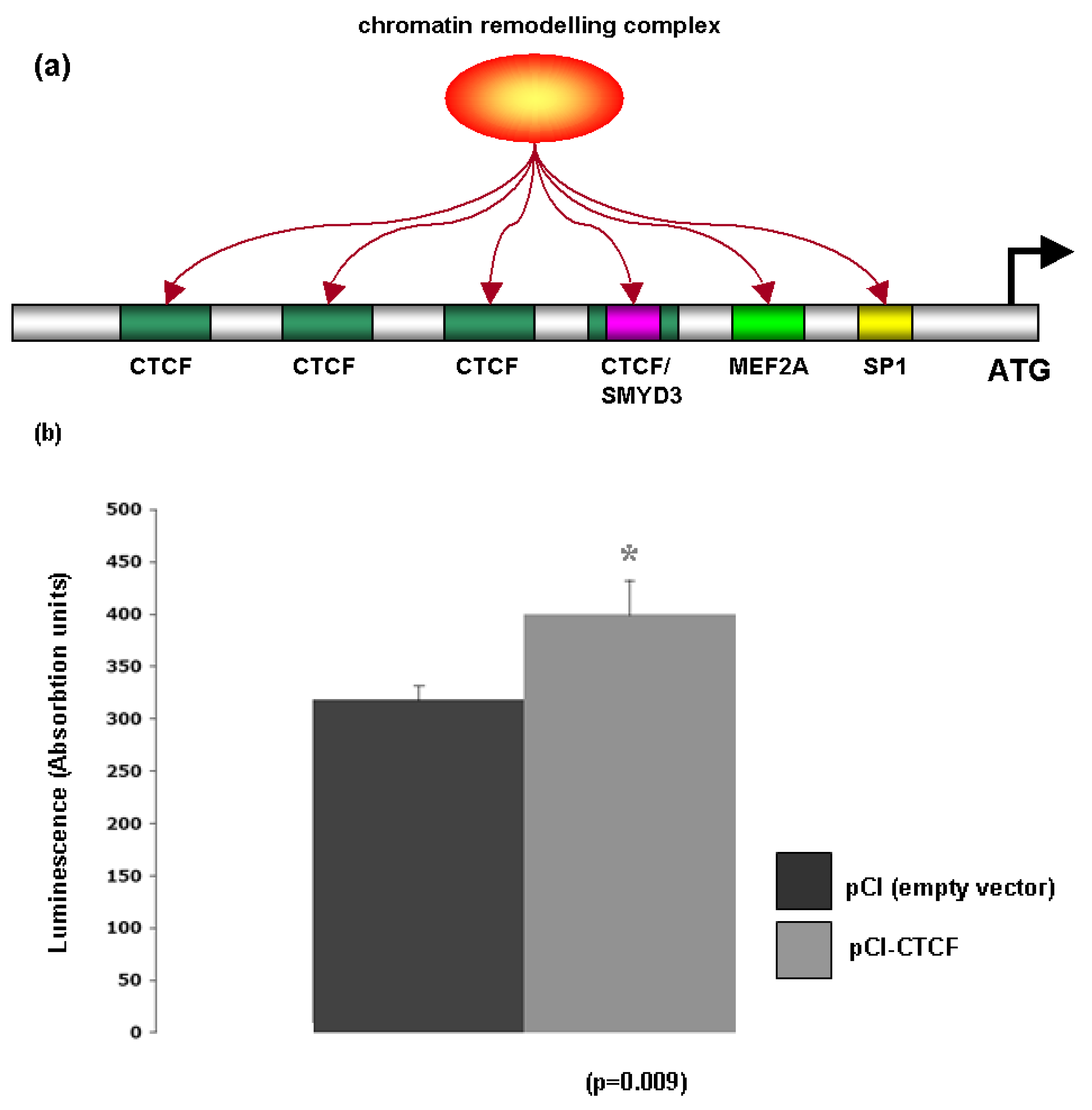 Cancers 03 01550f6 1024