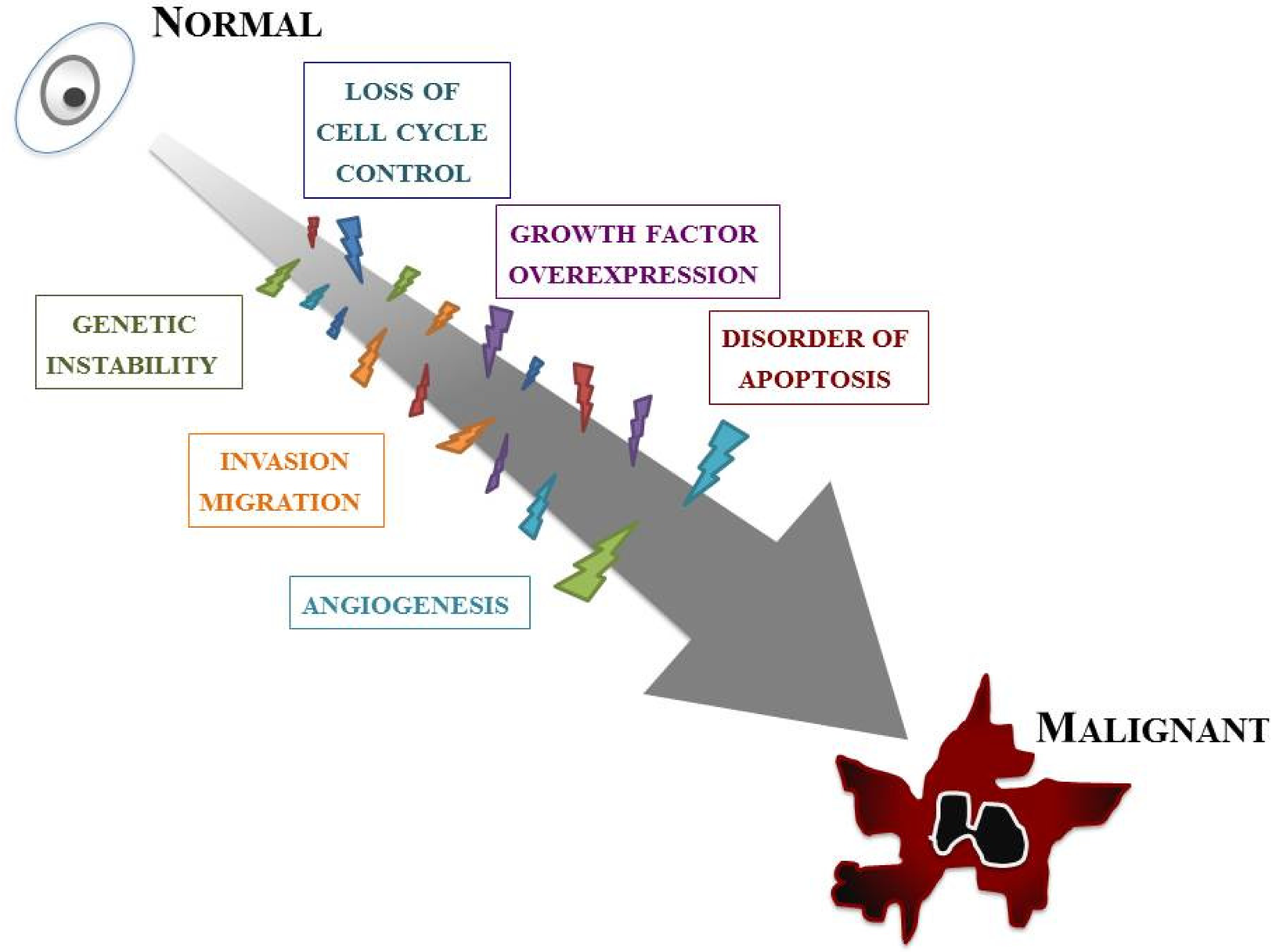 Cancers 03 03242f2 1024
