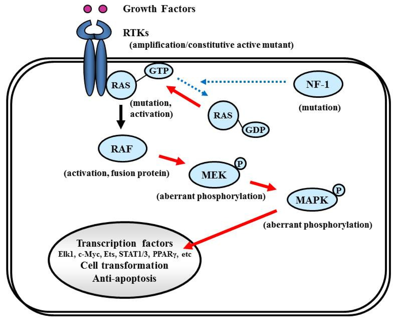 Cancers 03 03242f8 1024