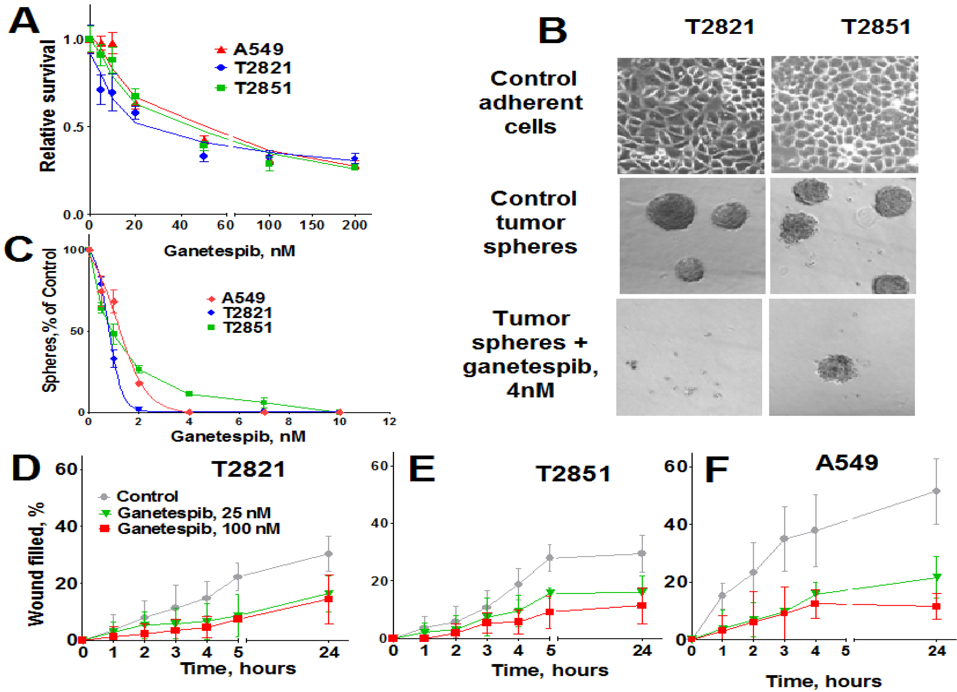 Cancers 07 00814 g001