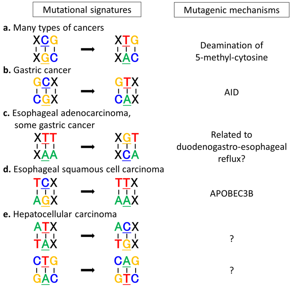 Cancers Special Issue Next Generation Sequencing