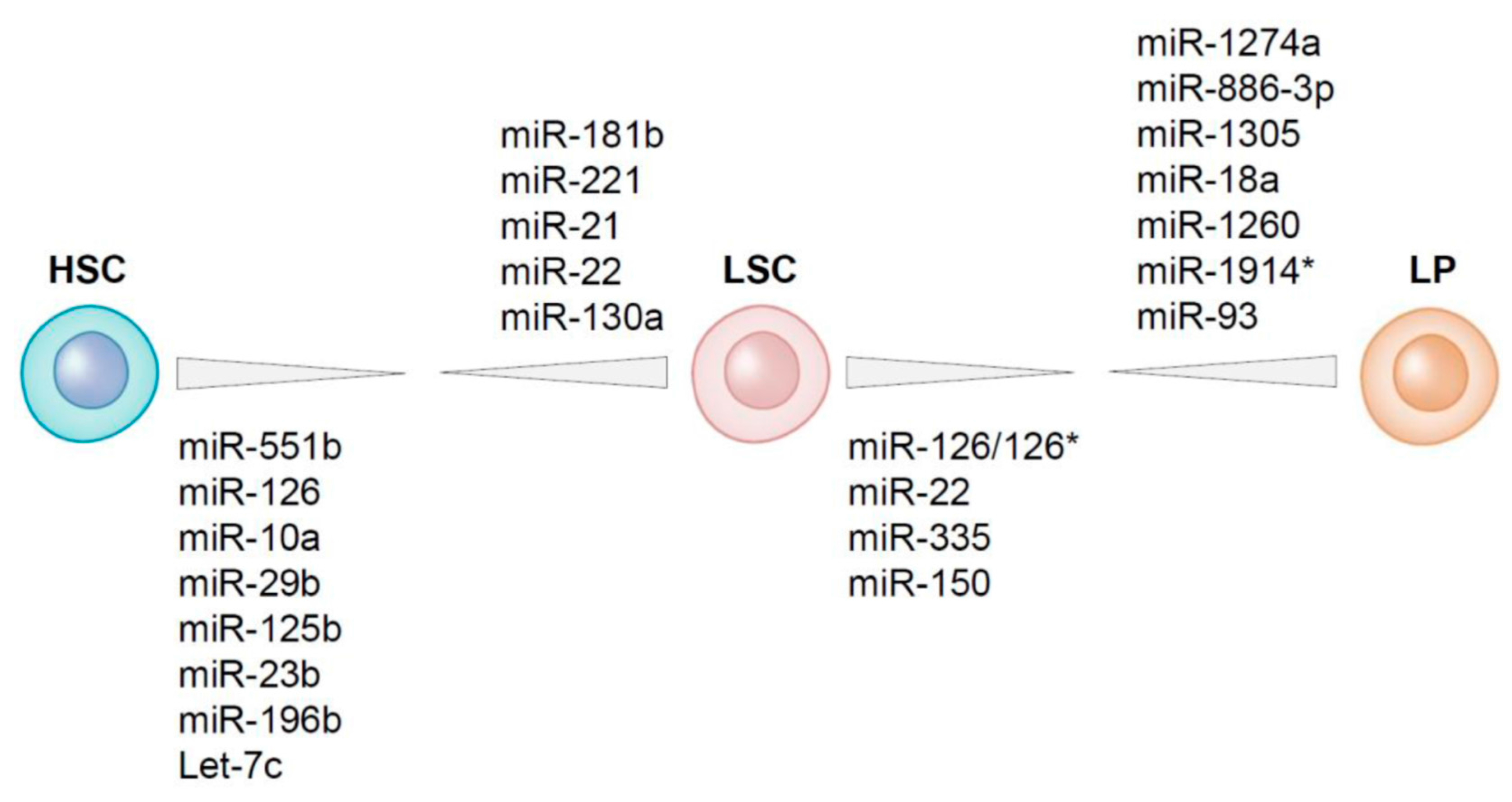 Free Full-Text | Specific Depletion of Leukemic Stem Cells: MicroRNAs Make the Difference? | HTML