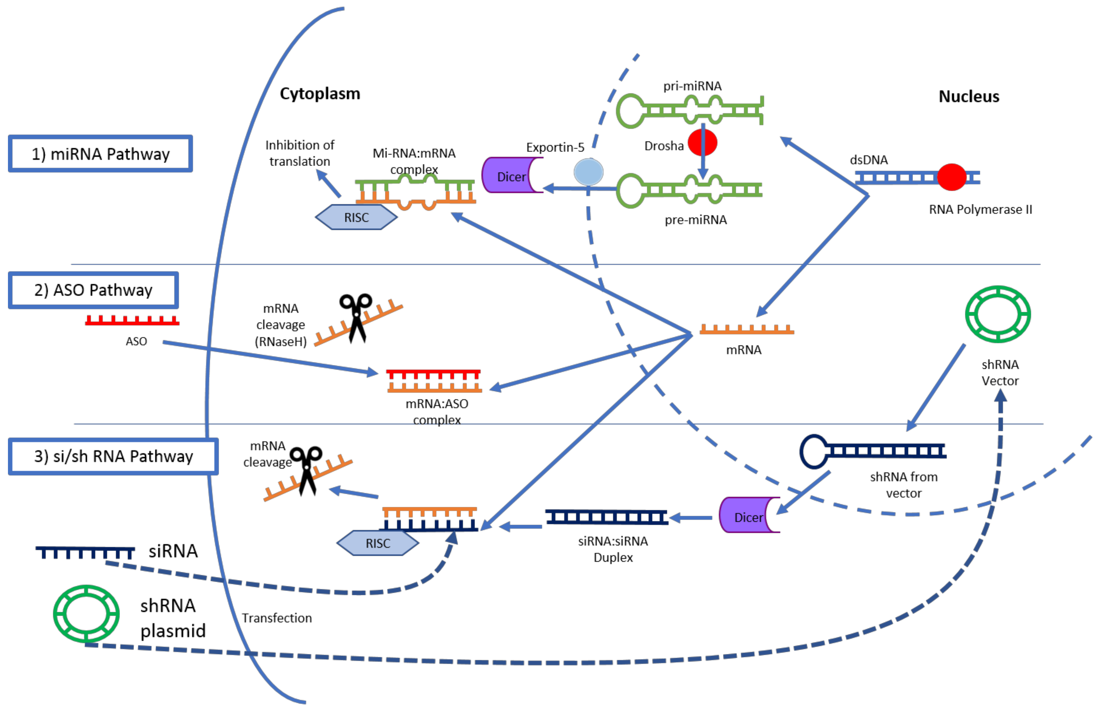 Cancers Free FullText Role of Gene Therapy in