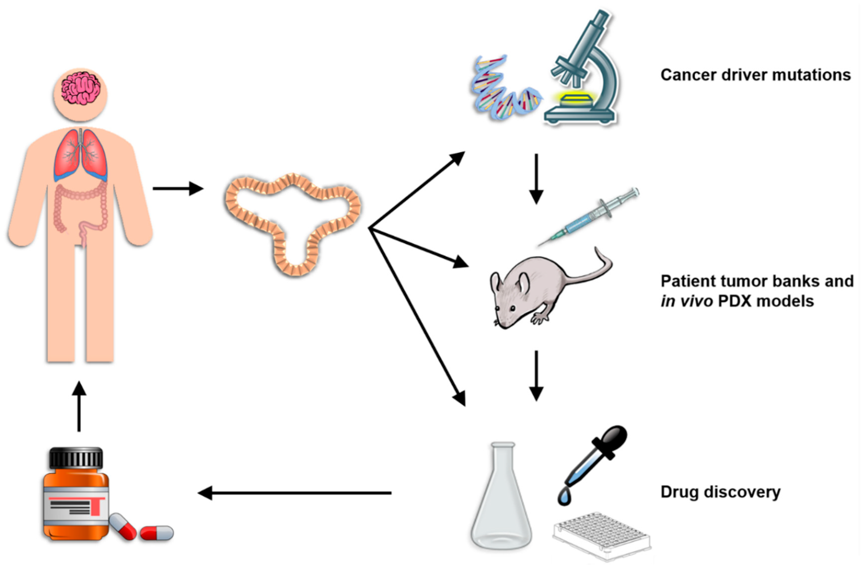 Cancers 10 00151 g002
