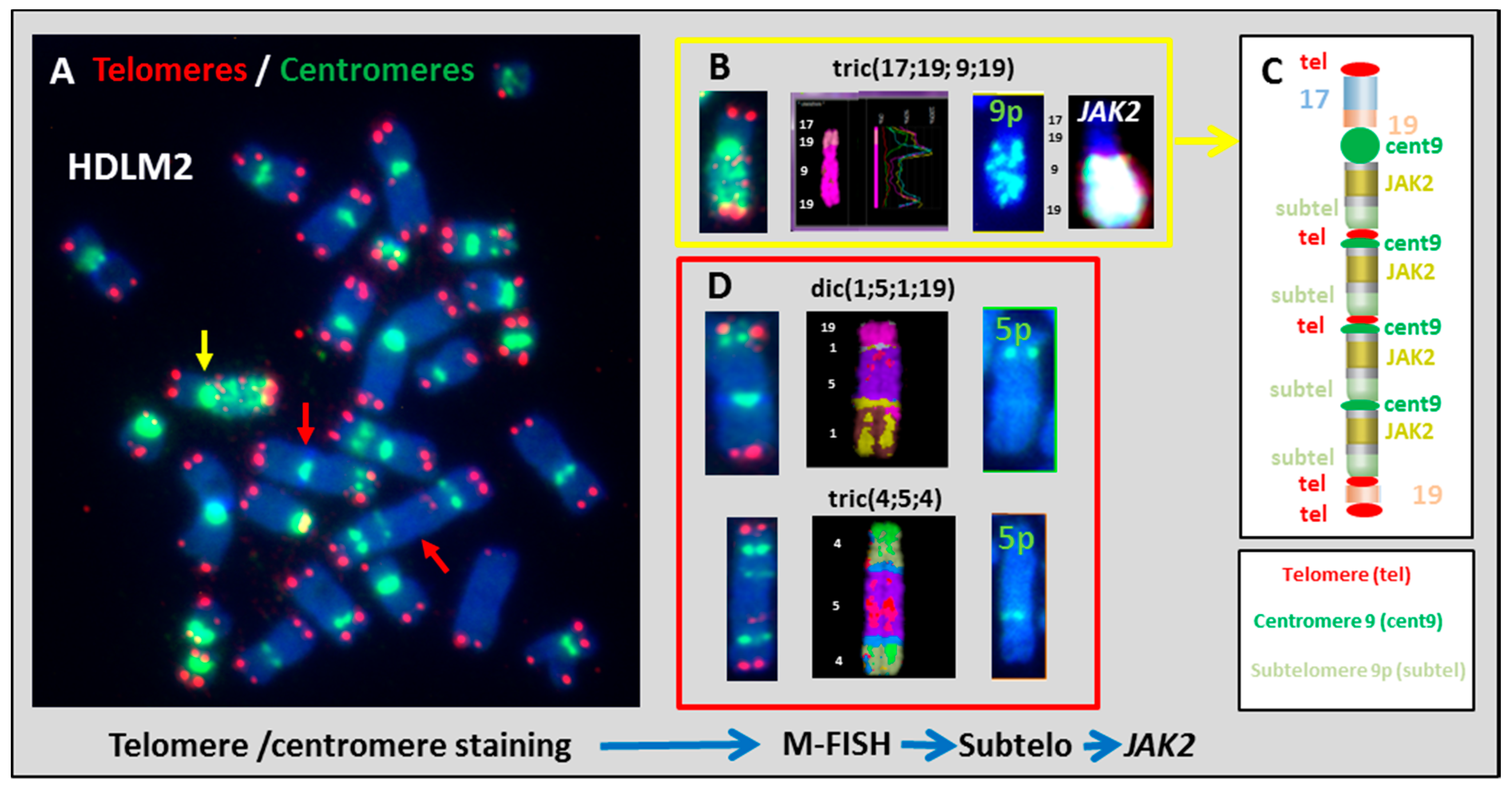 Cancers 10 00233 g003 Cancers 10 00233 g003