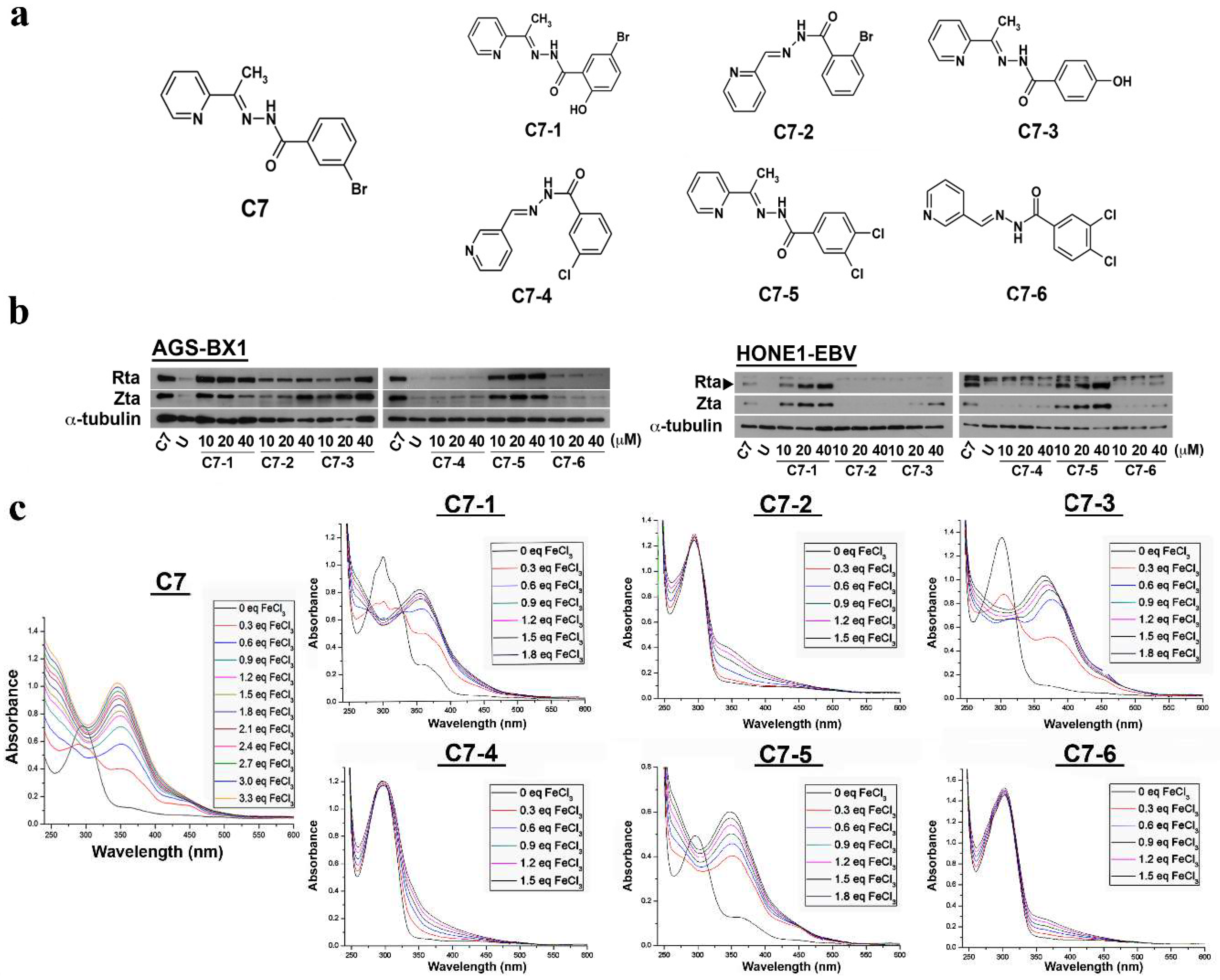 Cancers | Free Full-Text | Intracellular Iron Chelation by a Novel