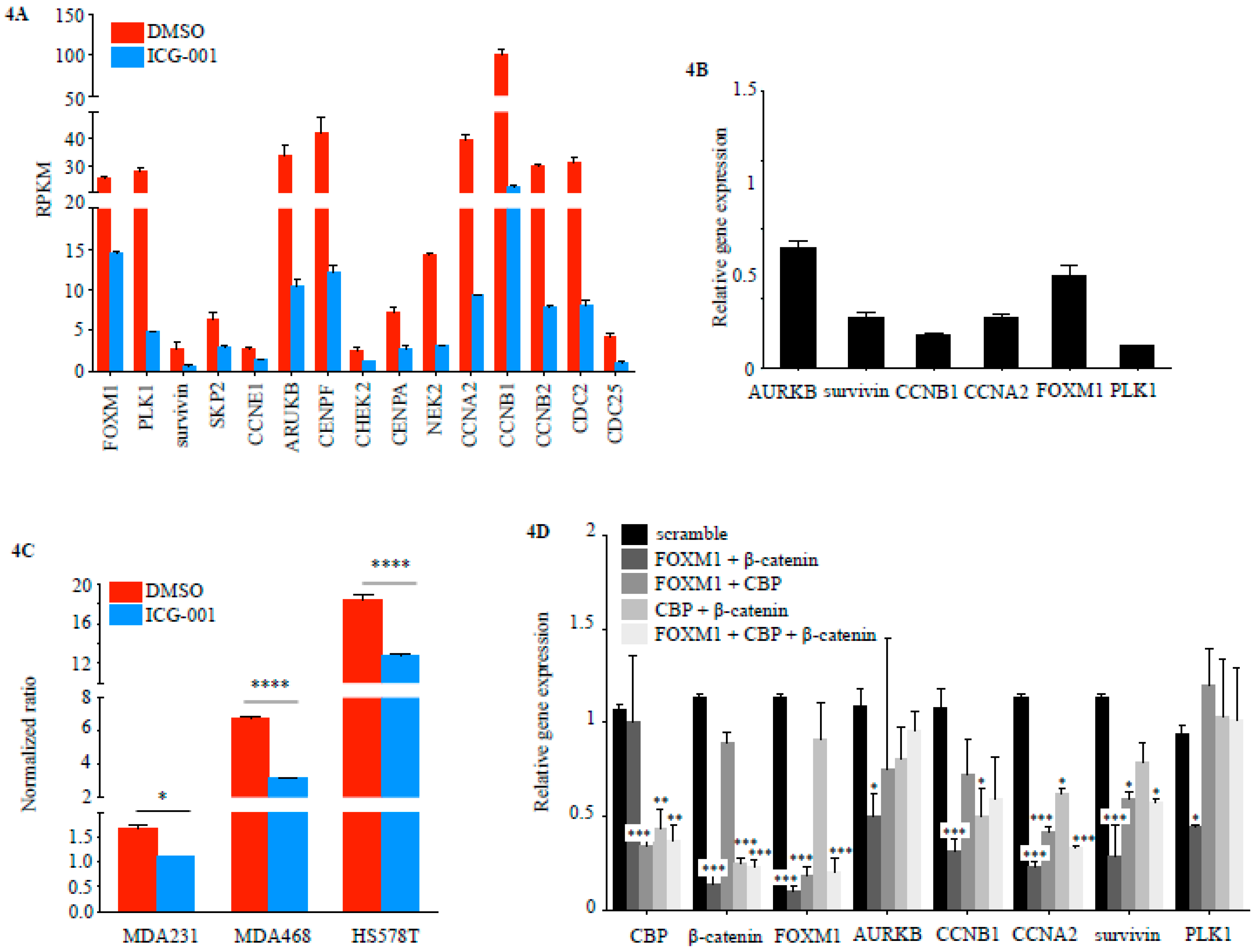 Cancers | Free Full-Text | CBP/β-Catenin/FOXM1 Is a Novel