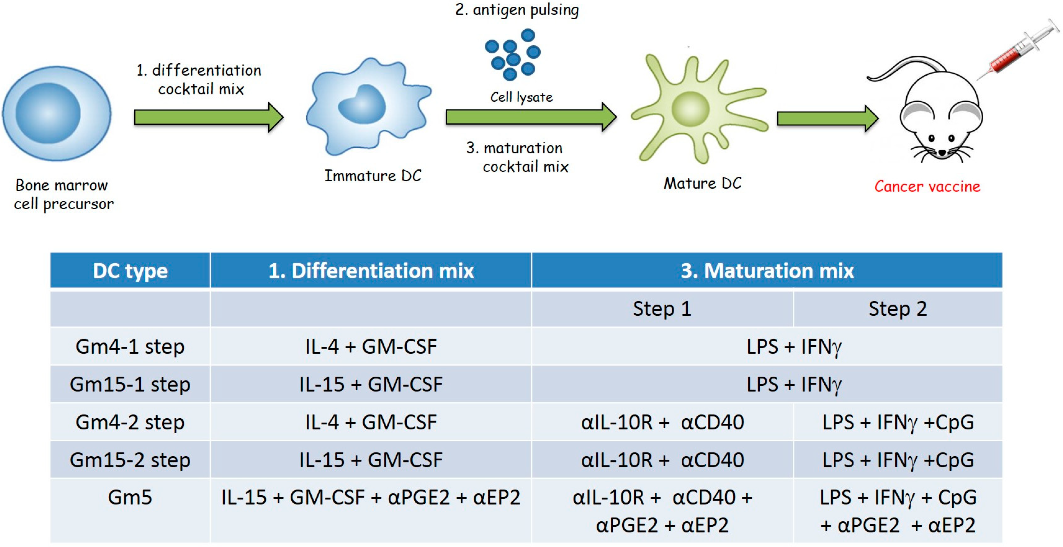 Cancers 11 00040 g001